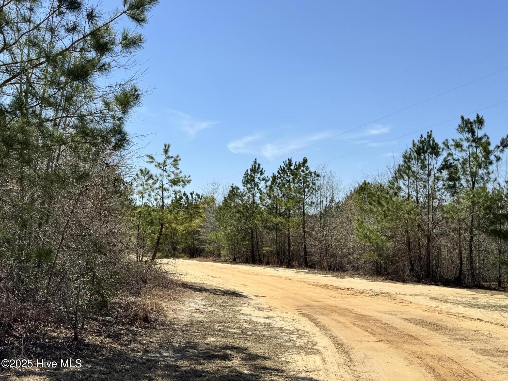 Tr 1/ Tr 2 Nc Highway 53 W Property Photo 14