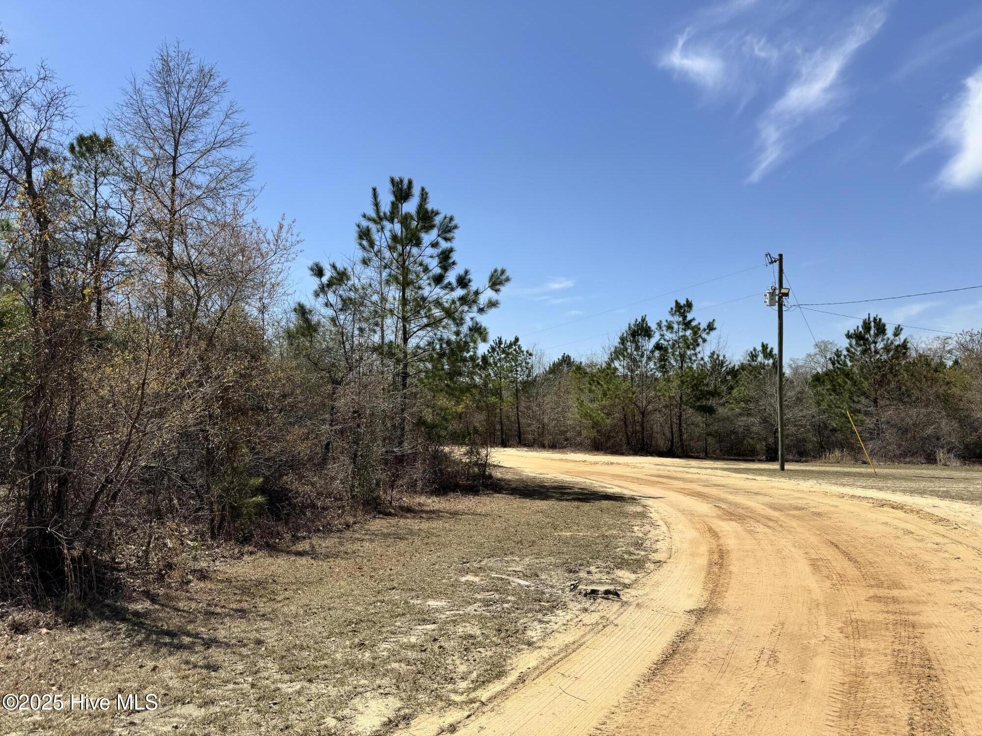 Tr 1/ Tr 2 Nc Highway 53 W Property Photo 15
