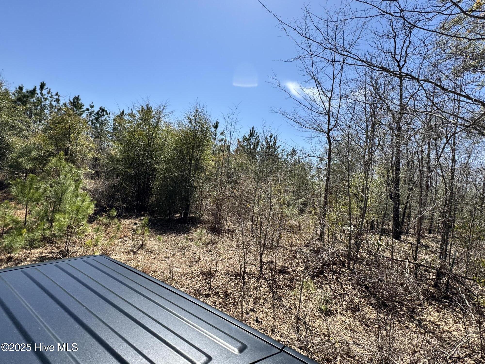 Tr 1/ Tr 2 Nc Highway 53 W Property Photo 16