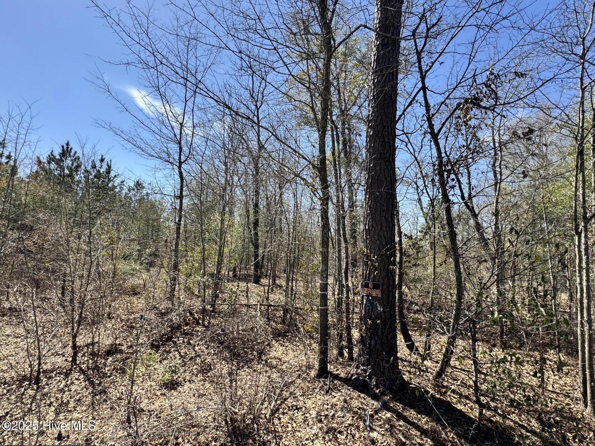 Tr 1/ Tr 2 Nc Highway 53 W Property Photo 17