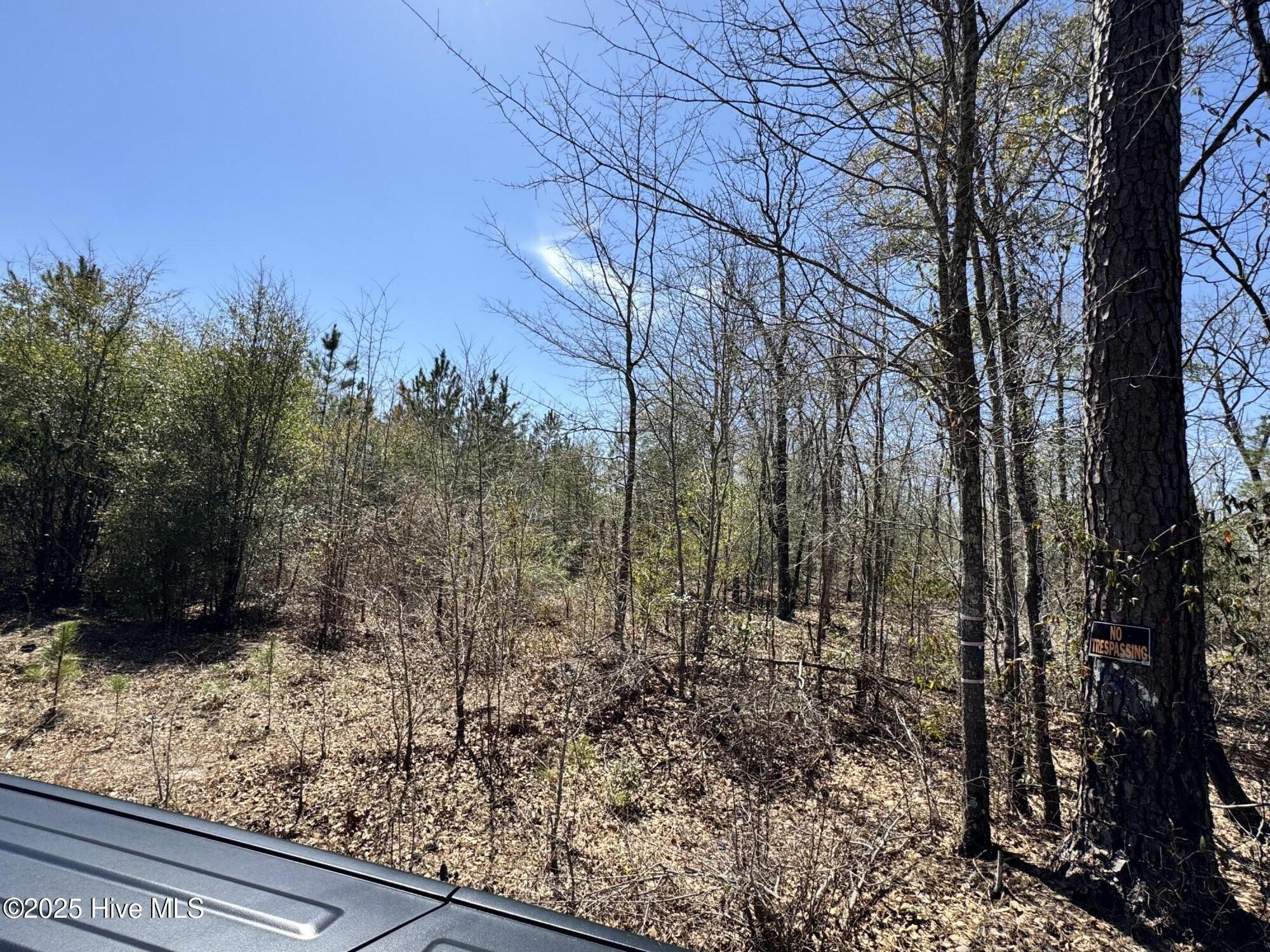 Tr 1/ Tr 2 Nc Highway 53 W Property Photo 18