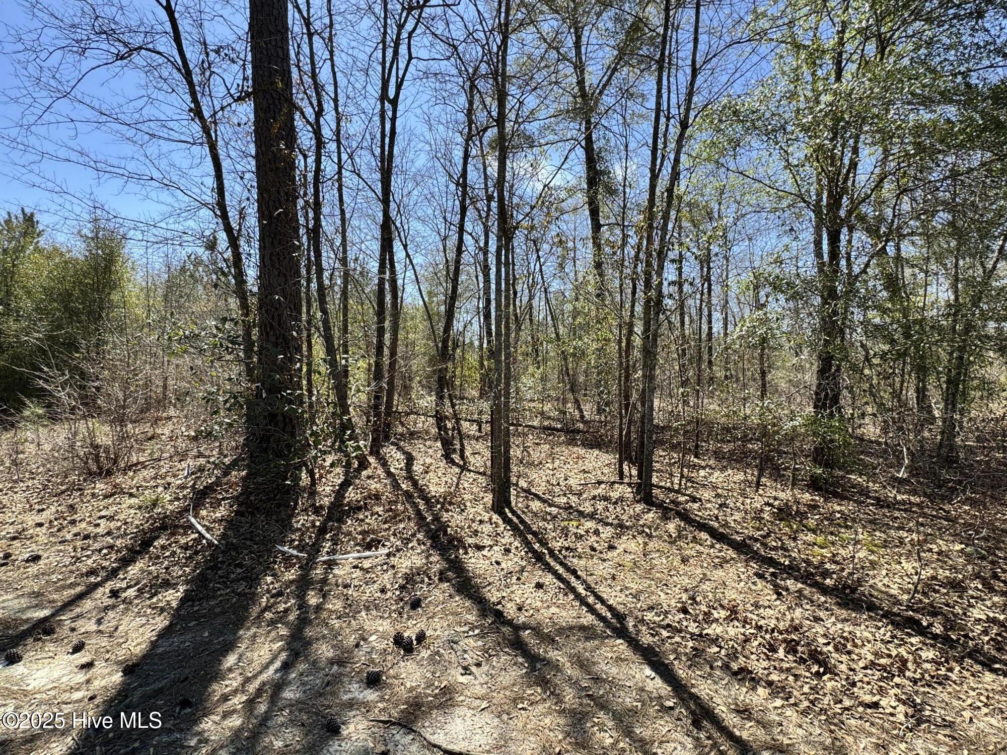 Tr 1/ Tr 2 Nc Highway 53 W Property Photo 19
