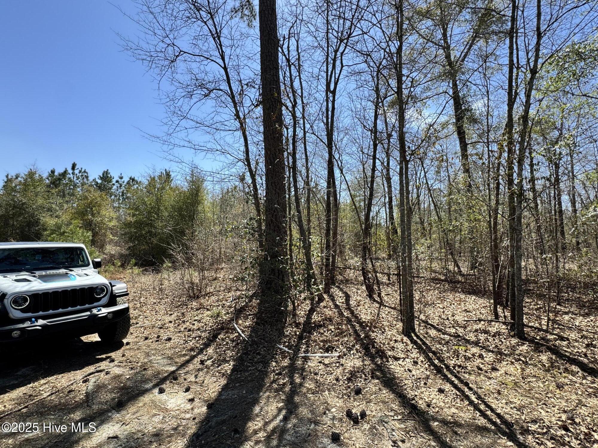 Tr 1/ Tr 2 Nc Highway 53 W Property Photo 21