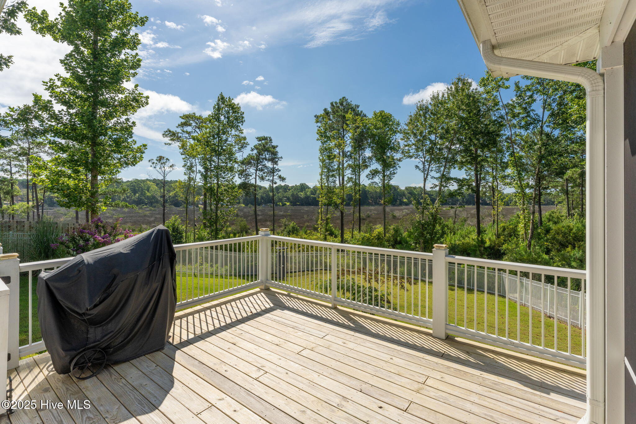 258 Gus Horne Road Property Photo 11