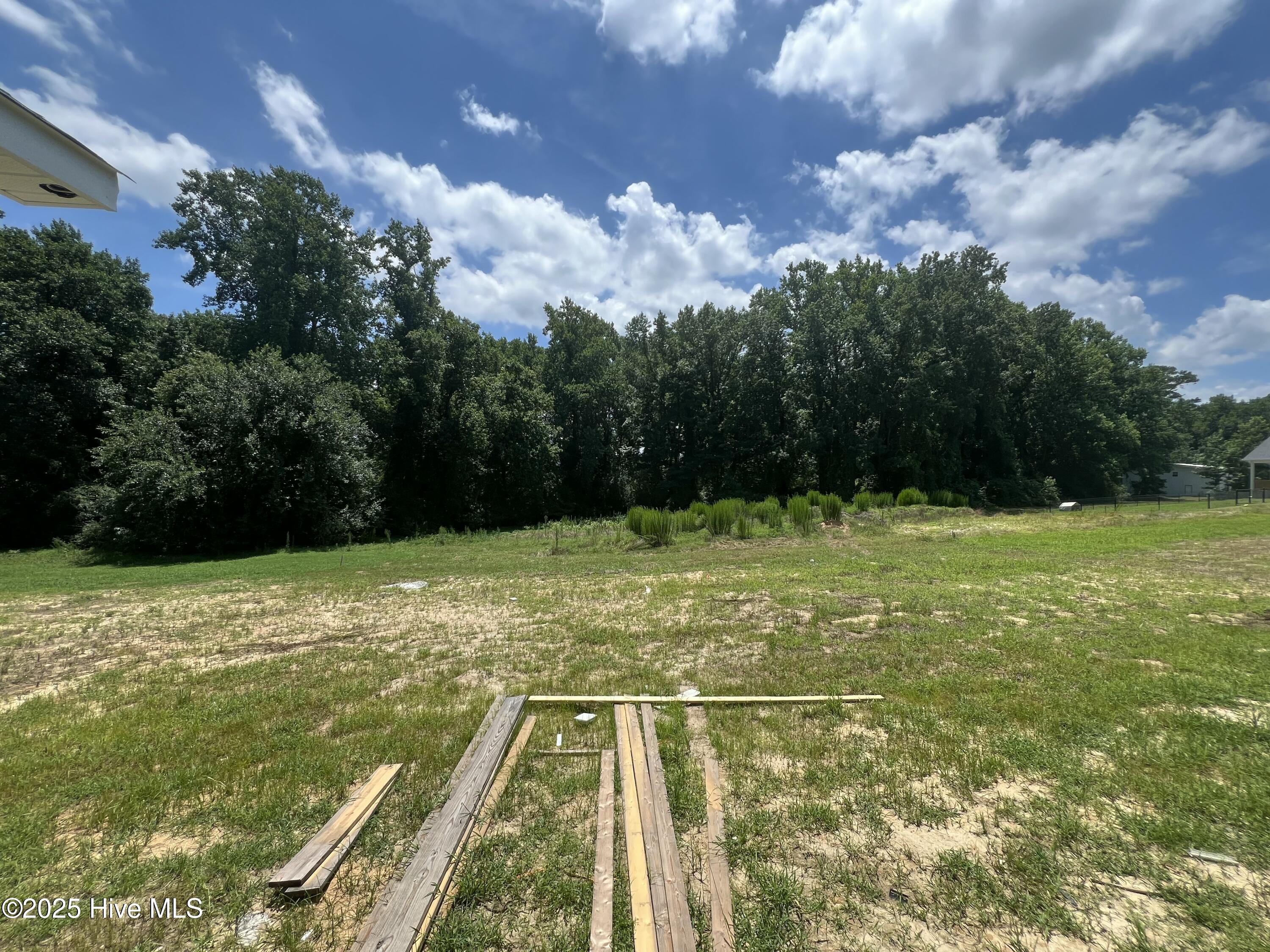 208 Creeks Edge Drive Property Photo 18