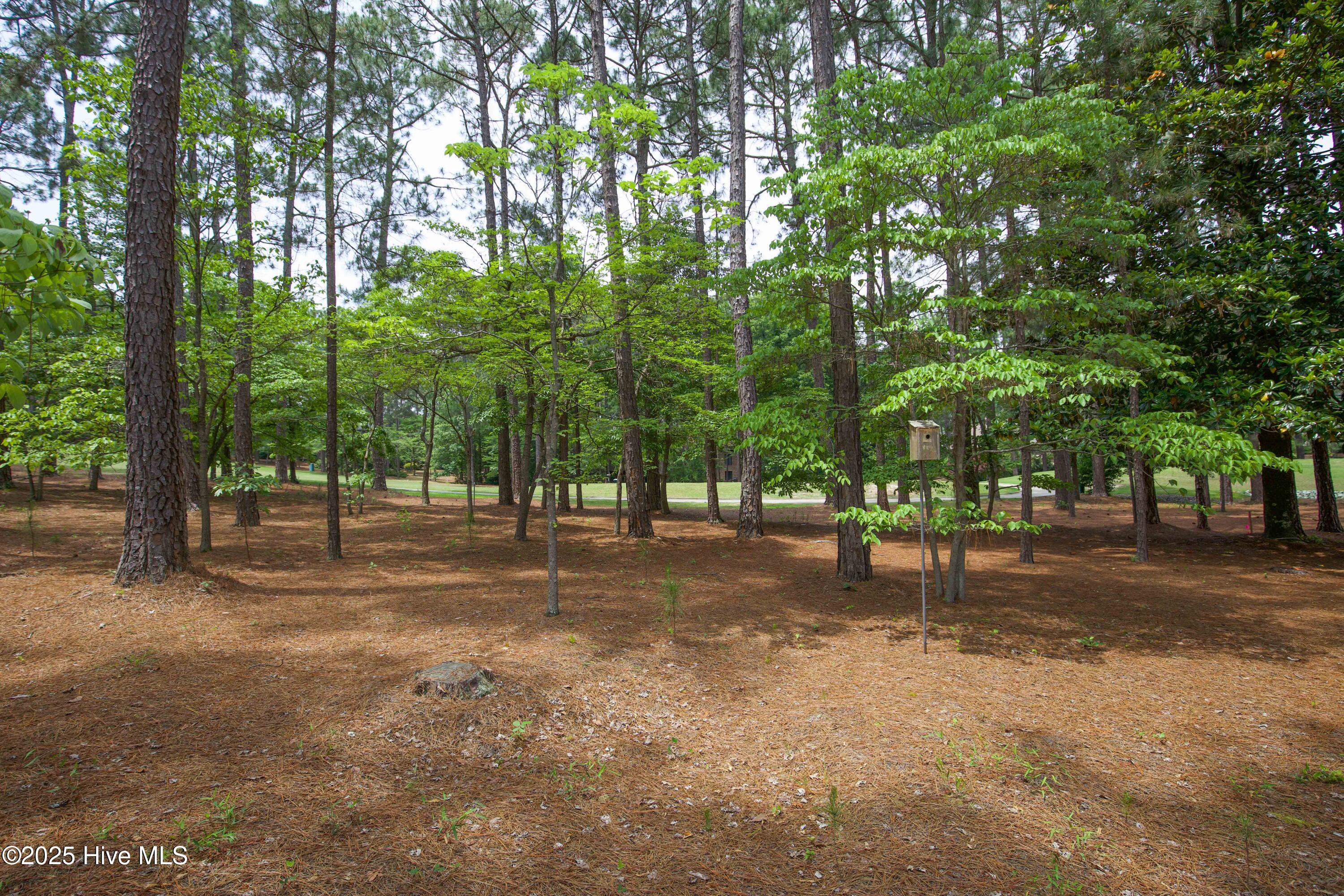 17 Troon Drive Property Photo 85