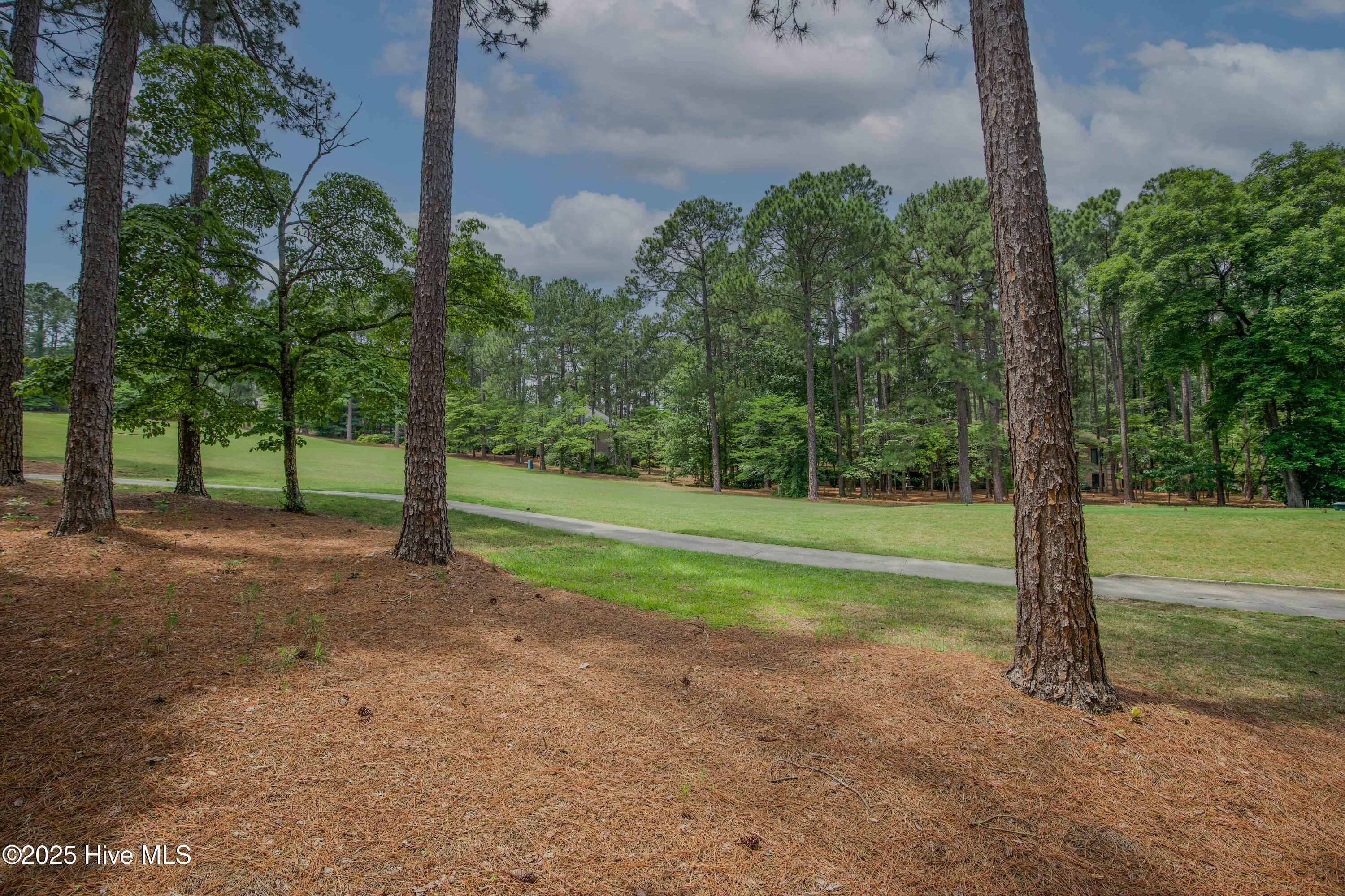 17 Troon Drive Property Photo 86
