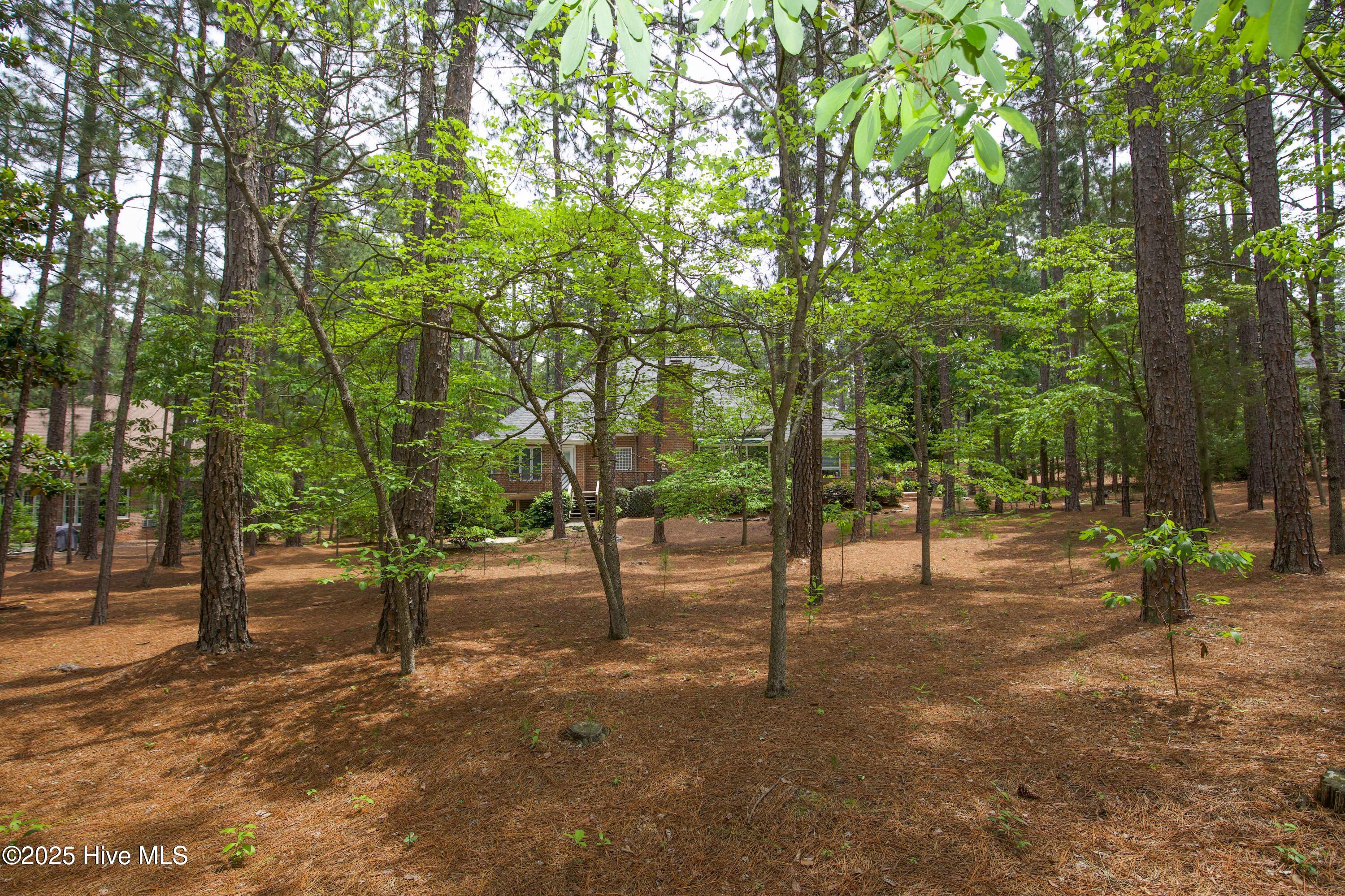 17 Troon Drive Property Photo 91