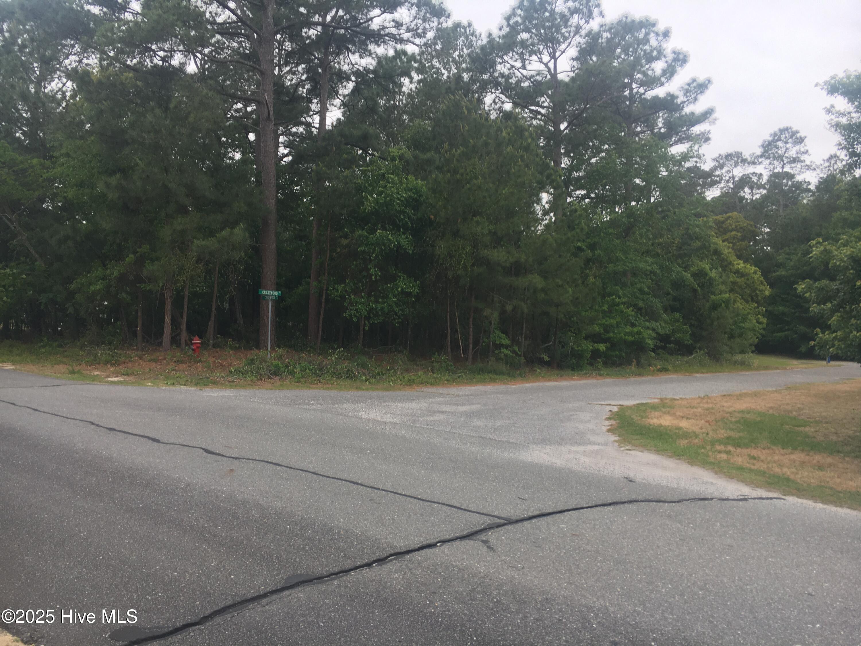 300 Crestwood Drive Property Photo 1