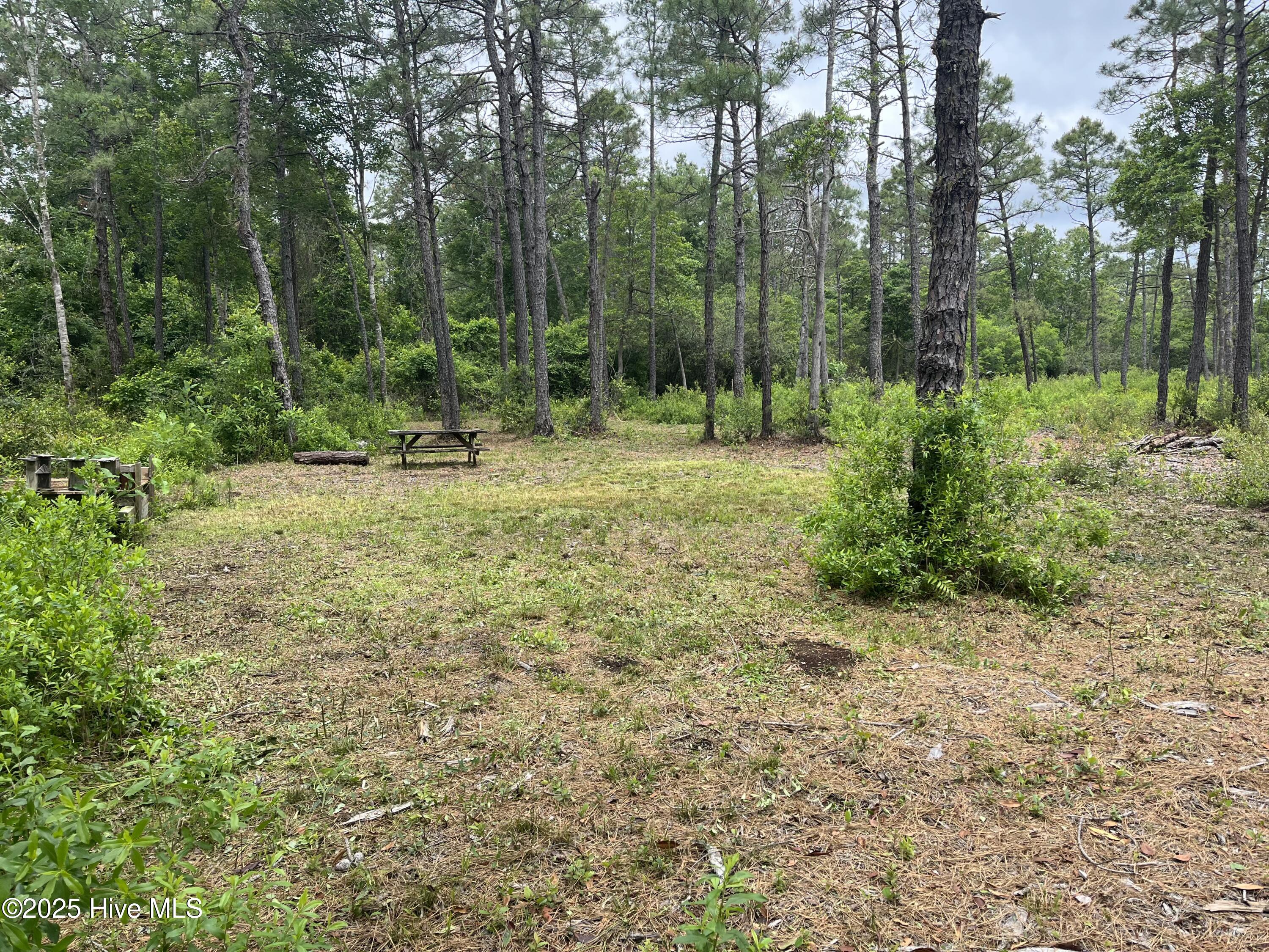 1650 Plantation Road Property Photo 9
