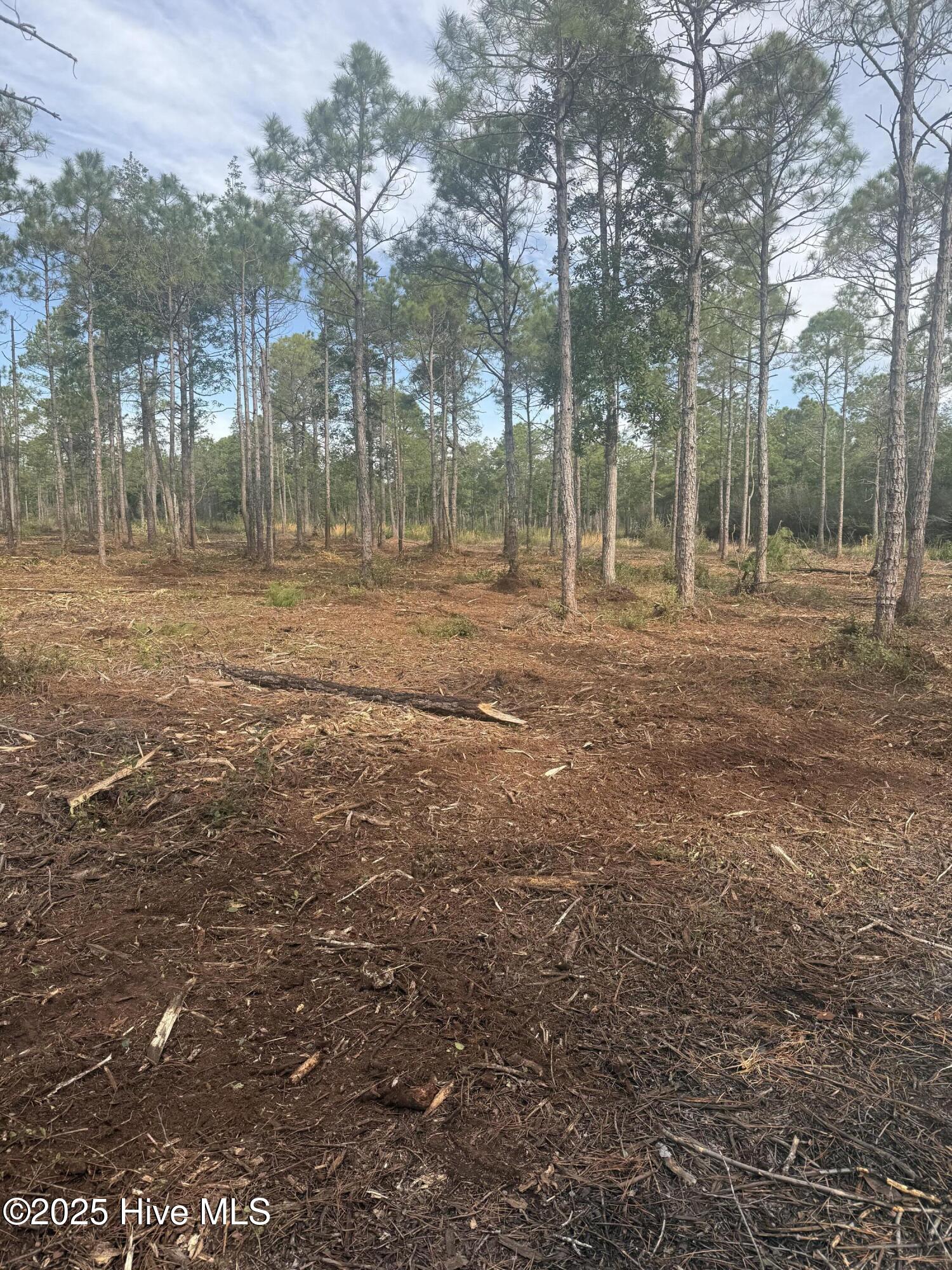 1650 Plantation Road Property Photo 10