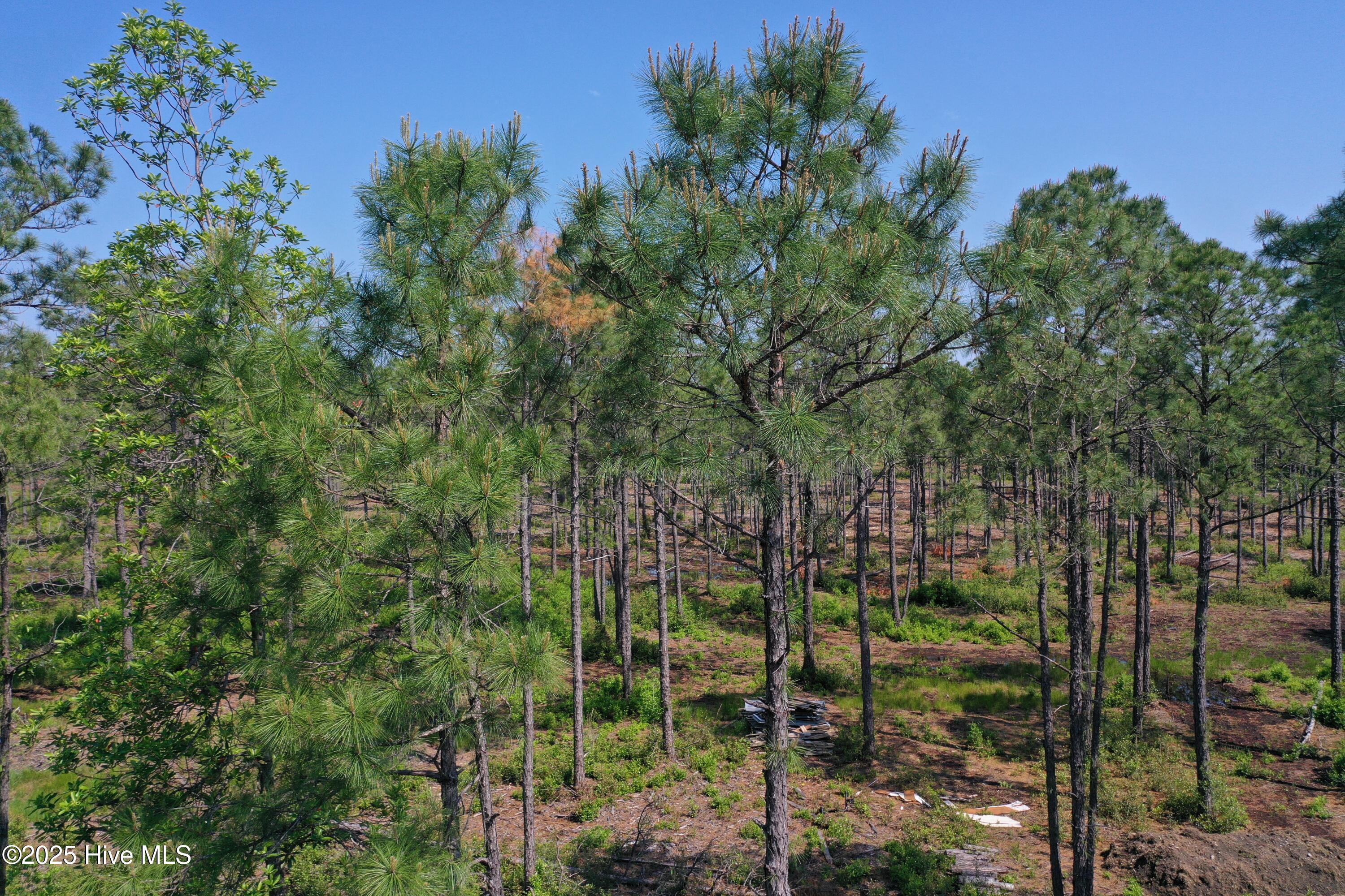 1650 Plantation Road Property Photo 15