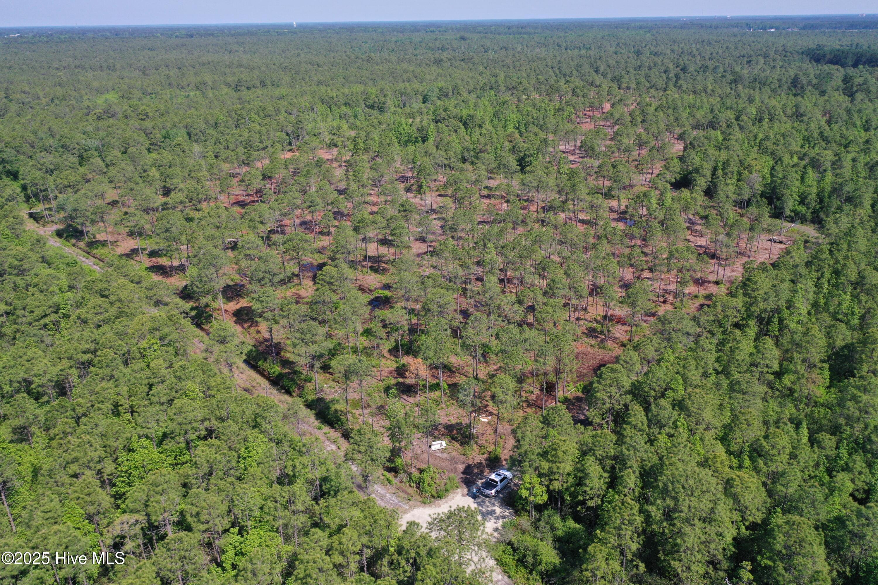 1650 Plantation Road Property Photo 17