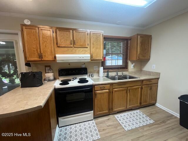 115 Oak Hills Drive Property Photo 16