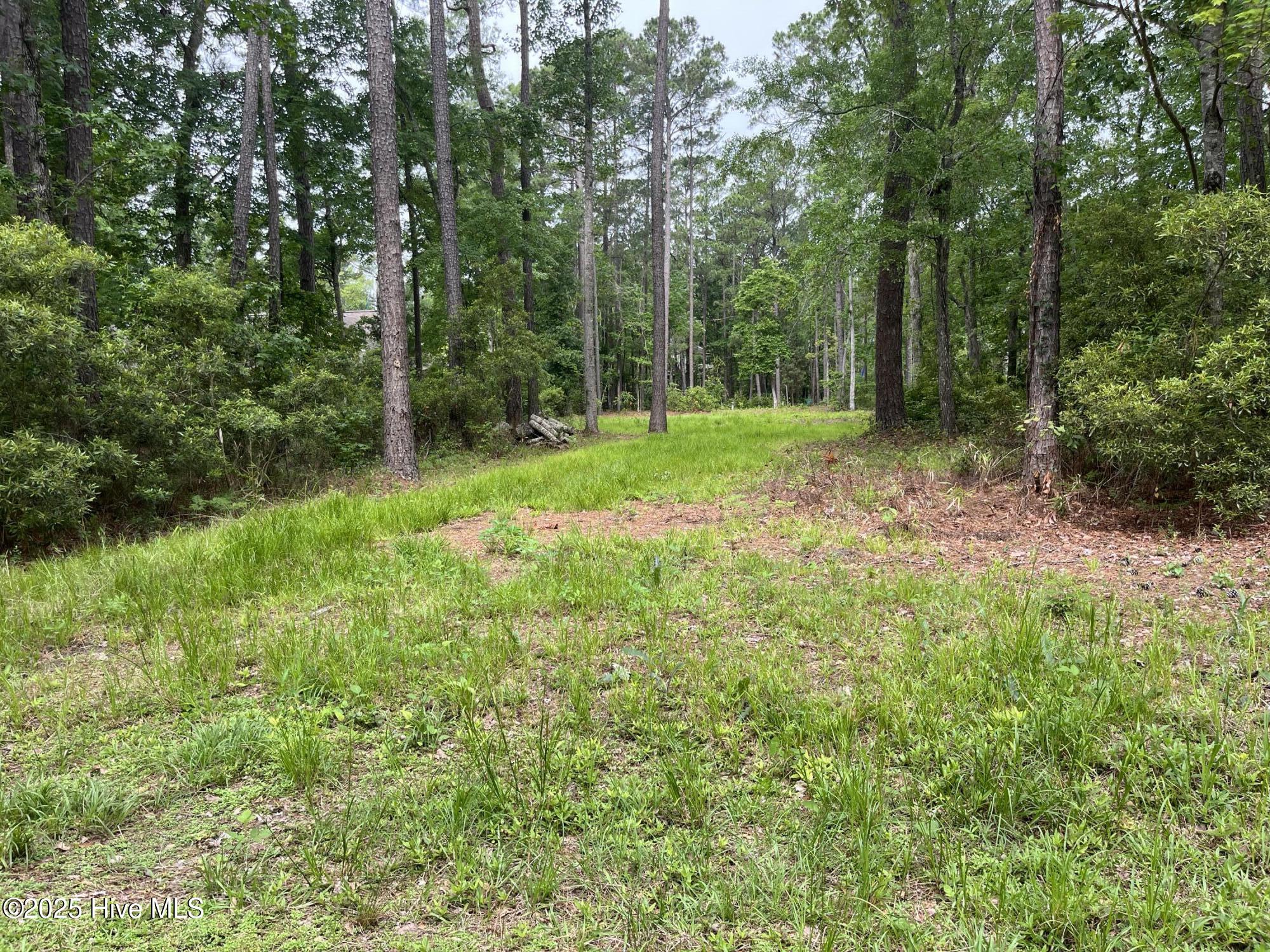 202 Whittaker Point Road Property Photo