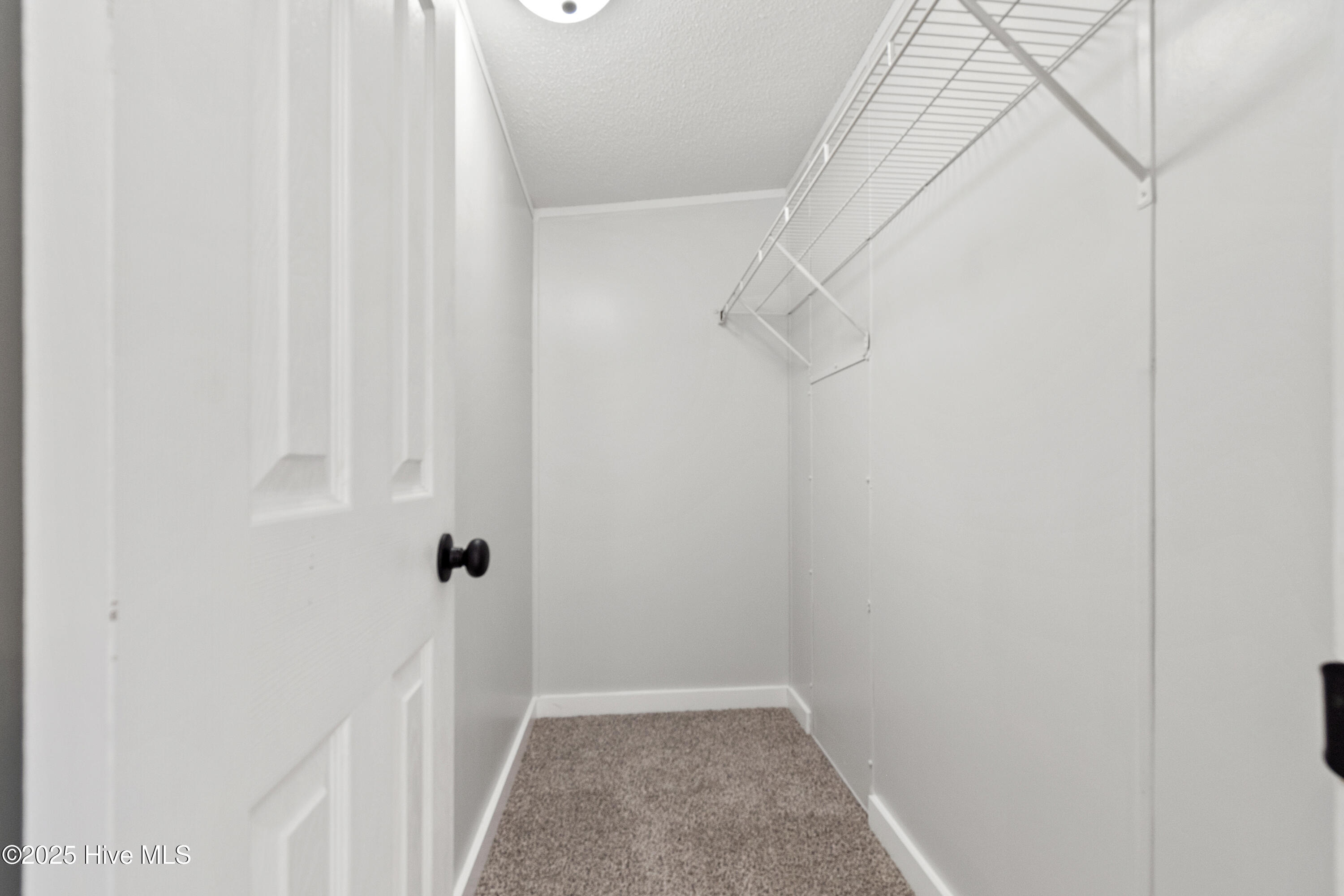 119 Life Boulevard Property Photo 21