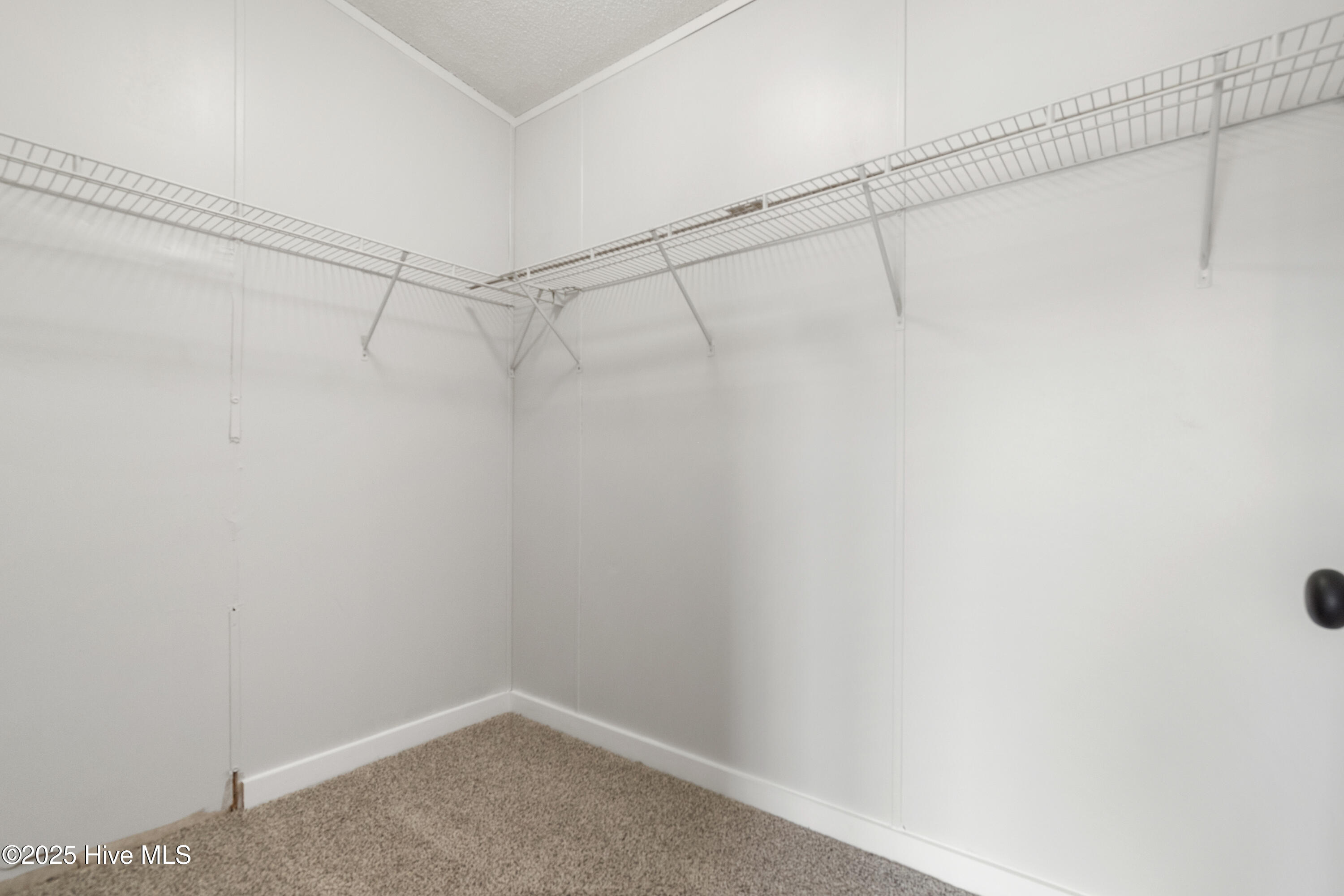 119 Life Boulevard Property Photo 31