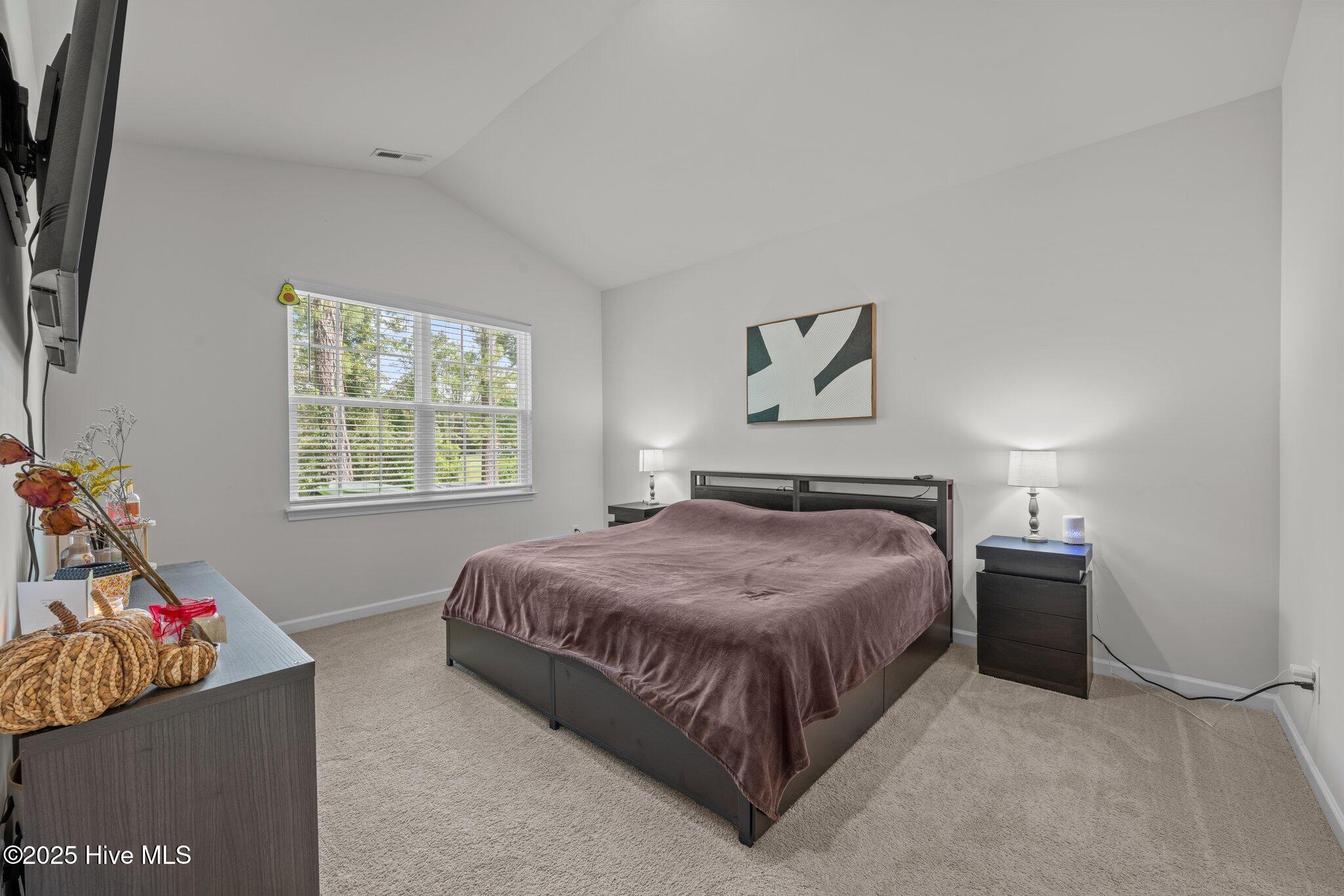 1311 Mona Passage Court Property Photo 13