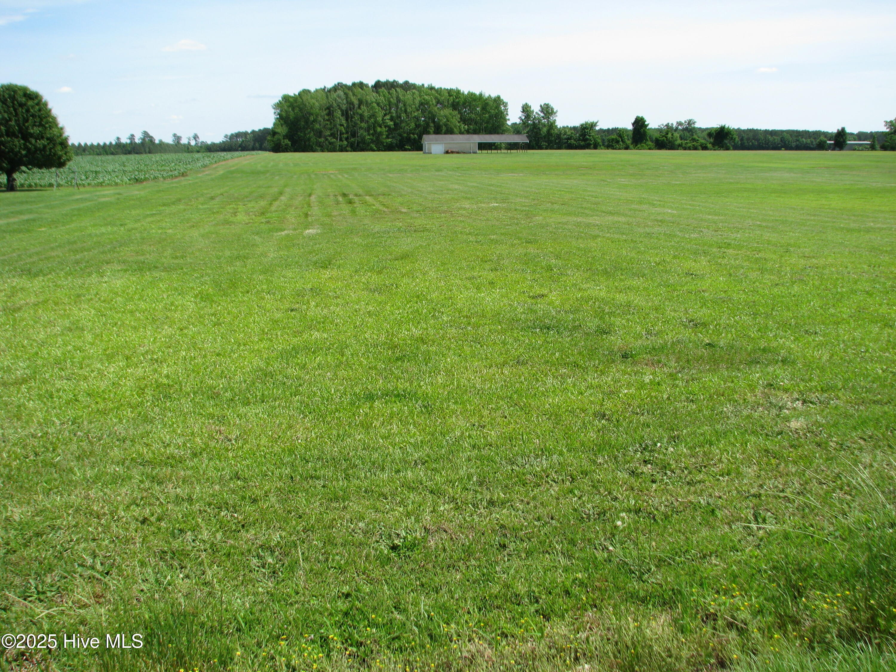 339 Nc Hwy 45 Property Photo