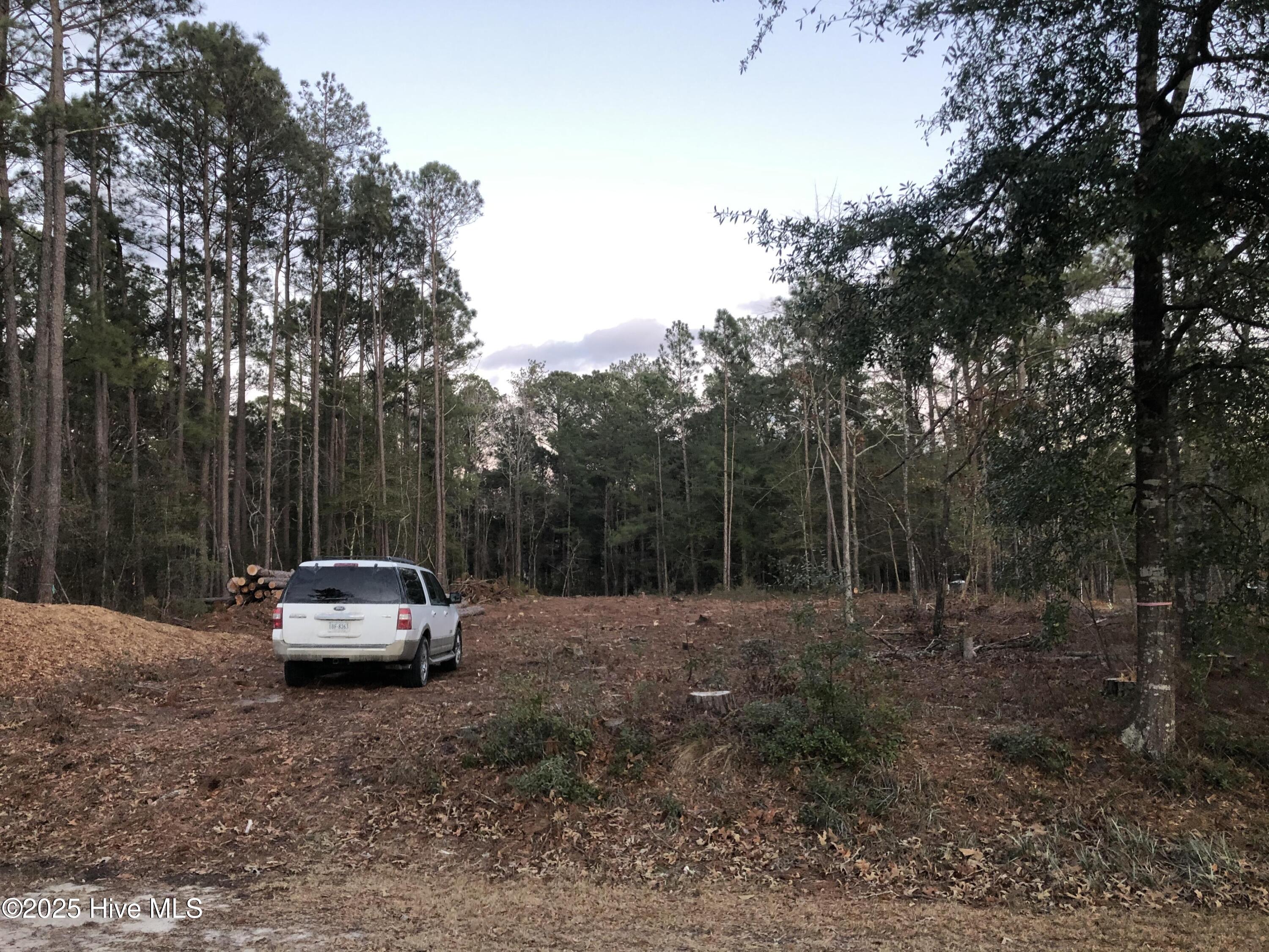 299 Phillips Drive Property Photo 1