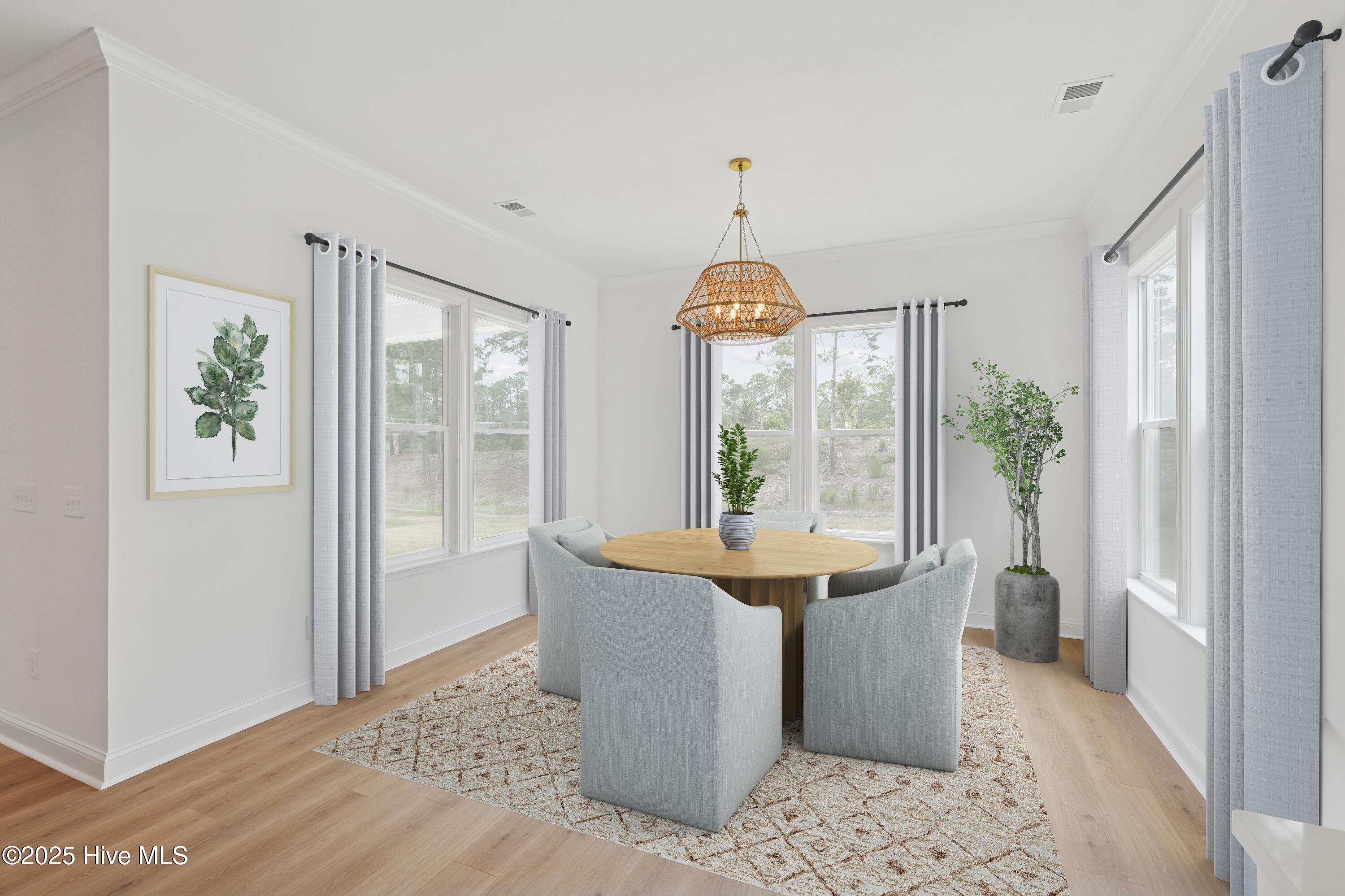 6083 Ocean Isle Palms Way Property Photo 8