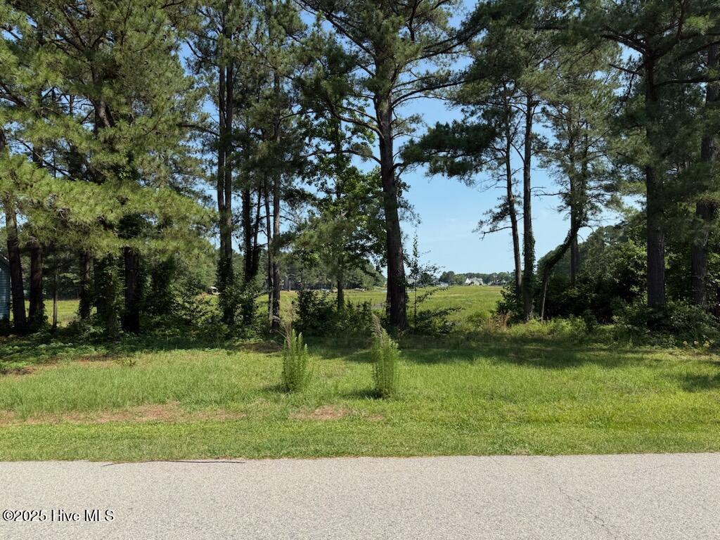 1159 Greenbriar Drive Property Photo 1