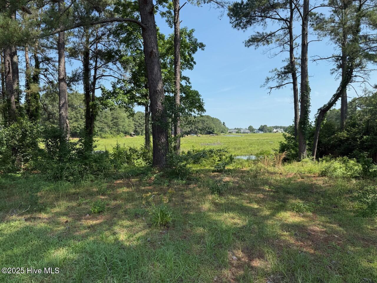 1159 Greenbriar Drive Property Photo 2