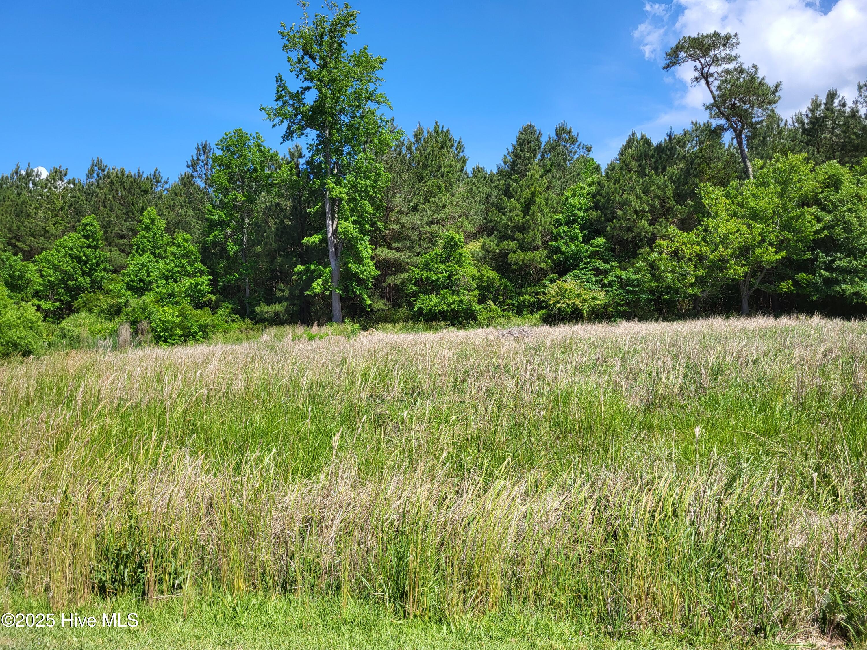 205 Hickory Lane Property Photo