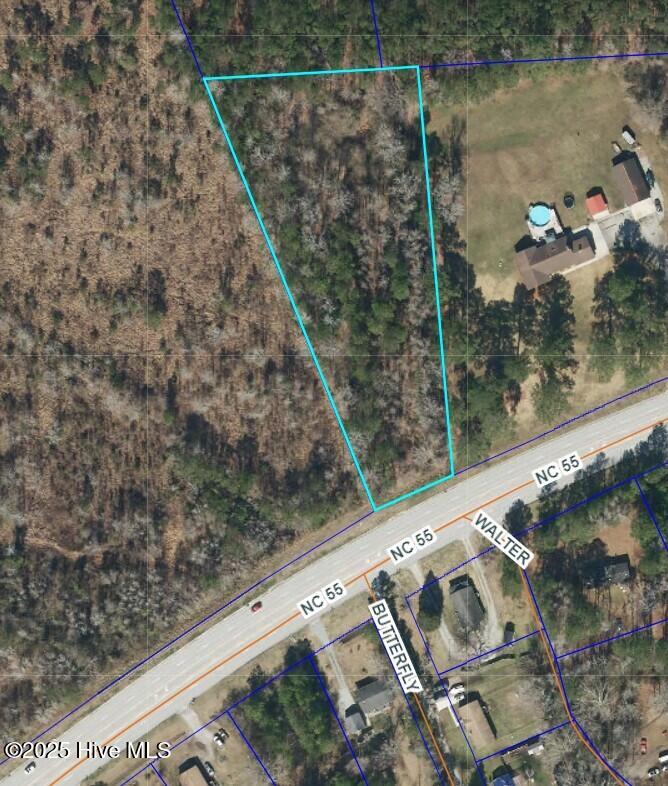 0 Nc 55 Highway Property Photo 1