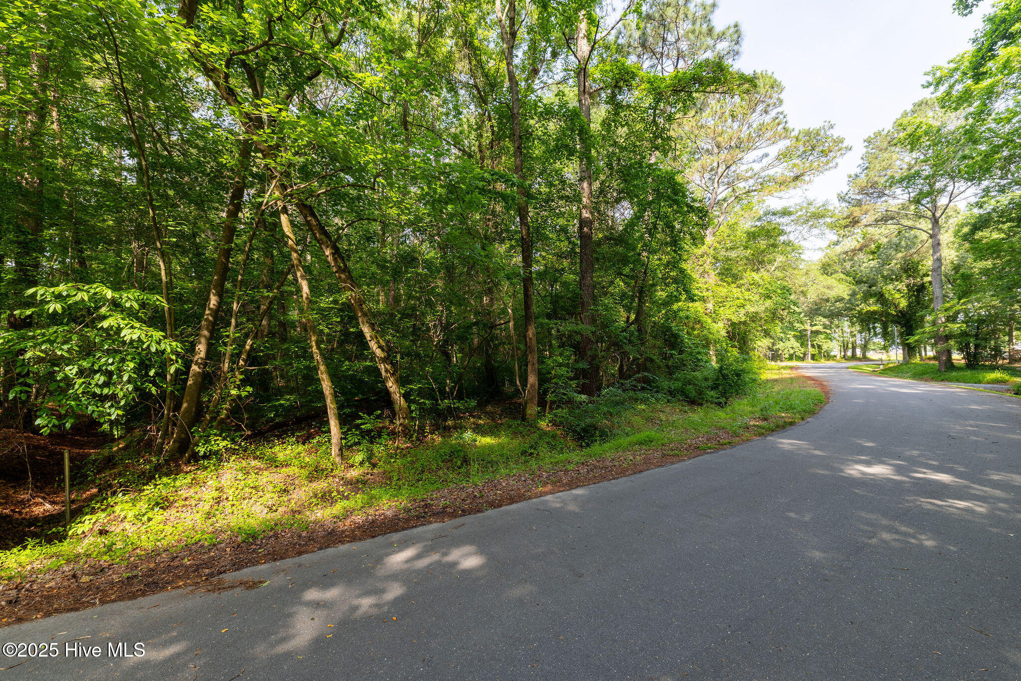 000 Pony Drive Property Photo 2