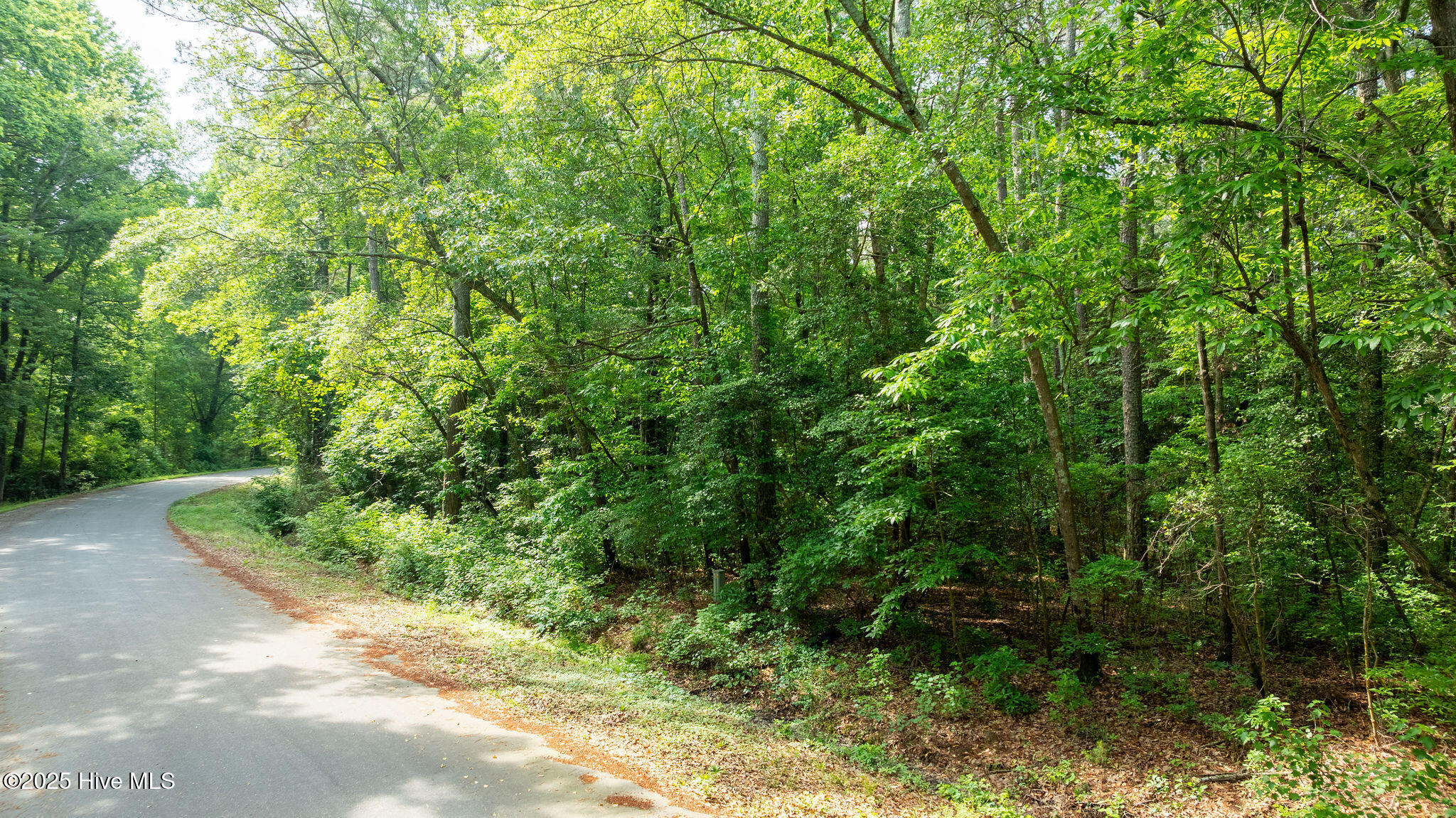 000 Pony Drive Property Photo 5