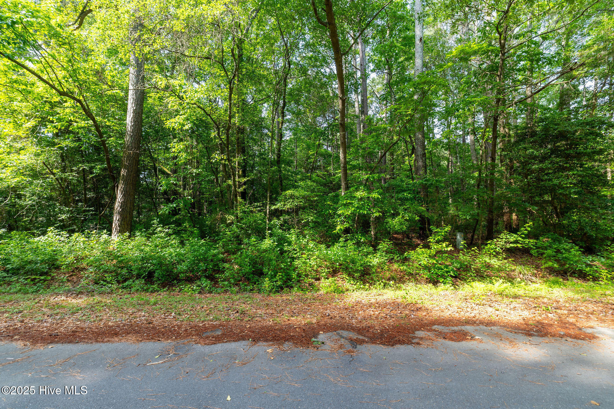 000 Pony Drive Property Photo 6