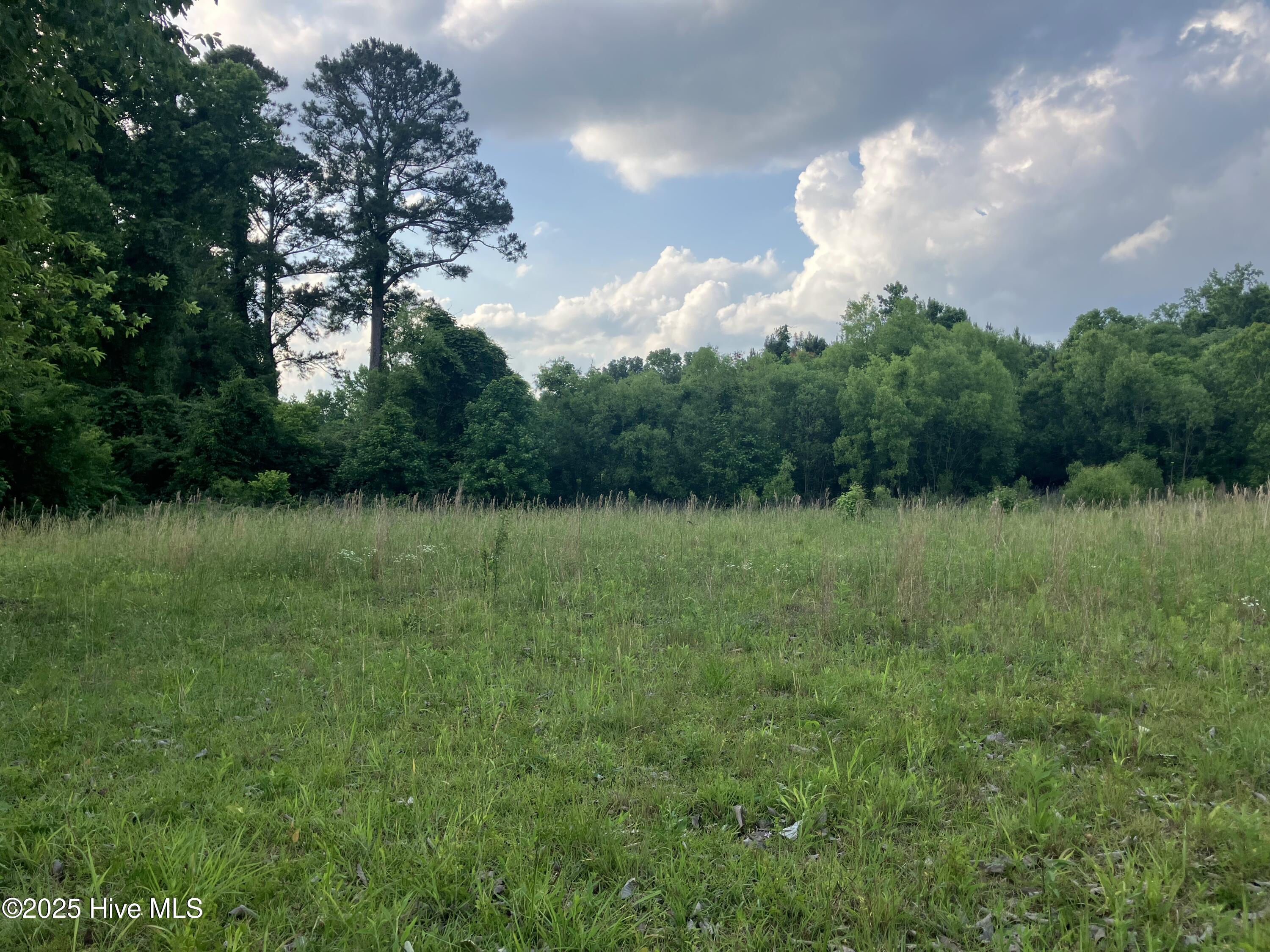 1.167 Ac Raleigh Road Property Photo 1