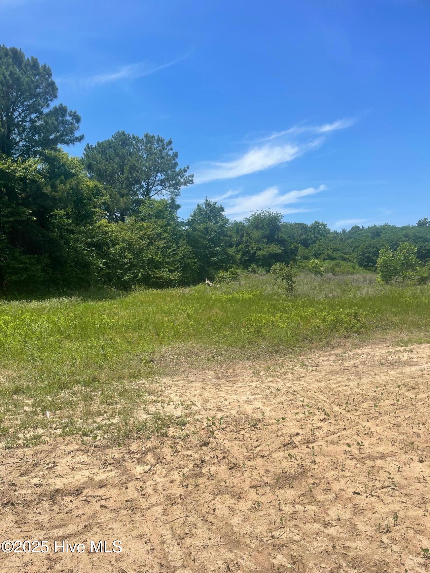 0 Easy Street Property Photo 2