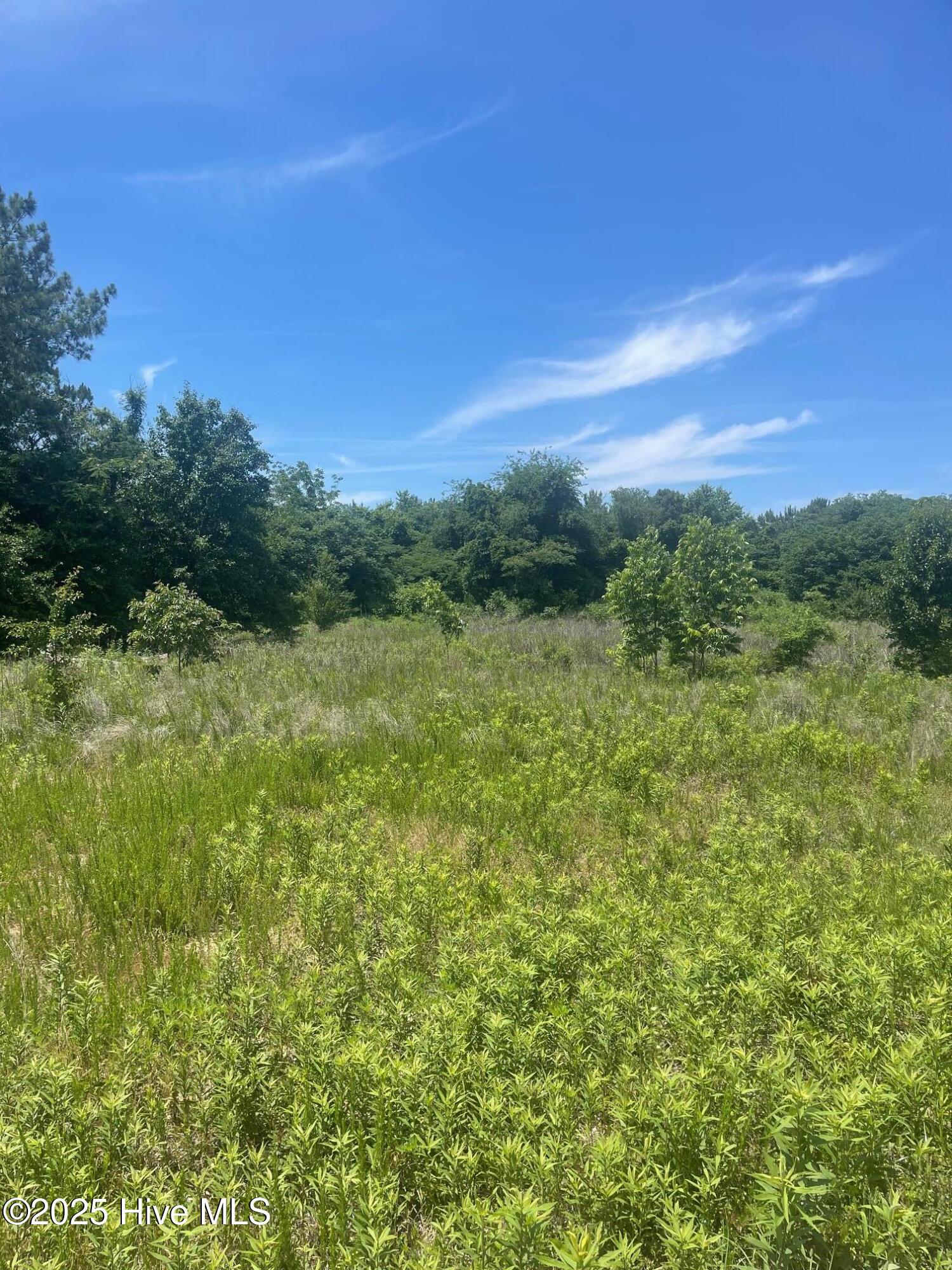 0 Easy Street Property Photo 3