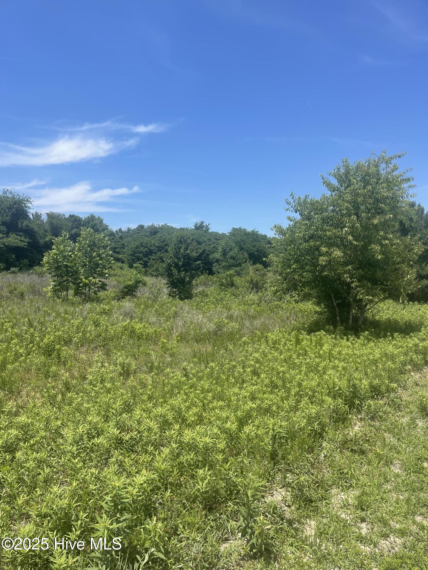 0 Easy Street Property Photo 4