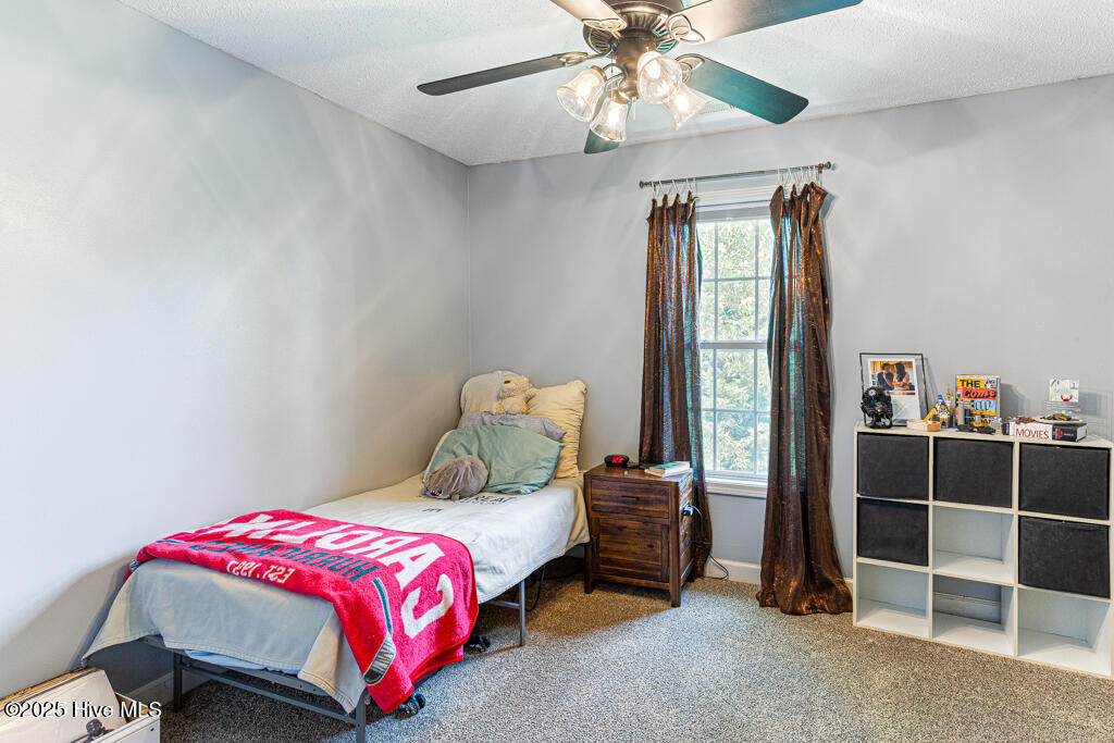 2 Beryl Circle Property Photo 25