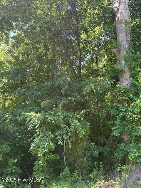 304 - 306 Pineview Drive Property Photo 13