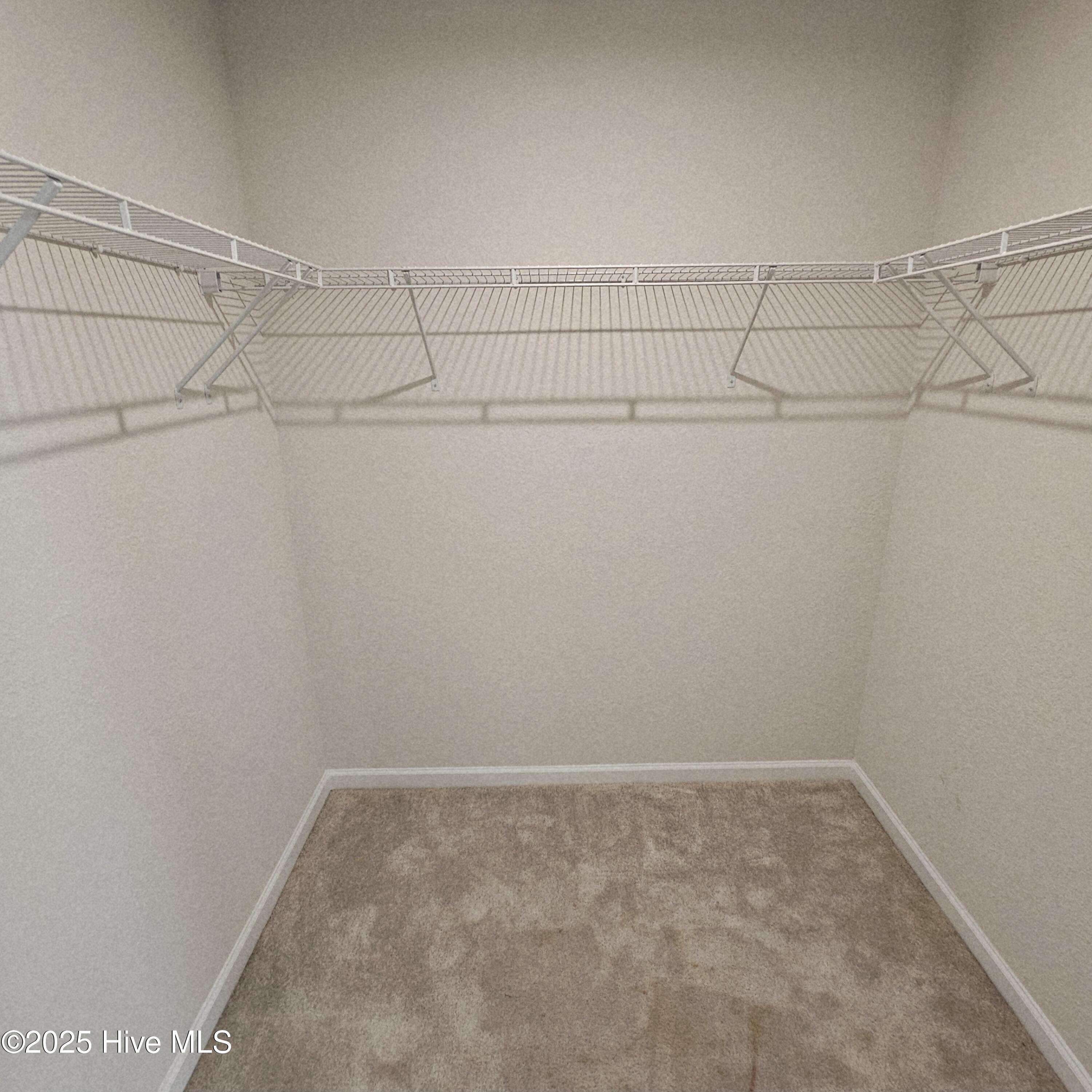 1300 Elder Street Property Photo 11