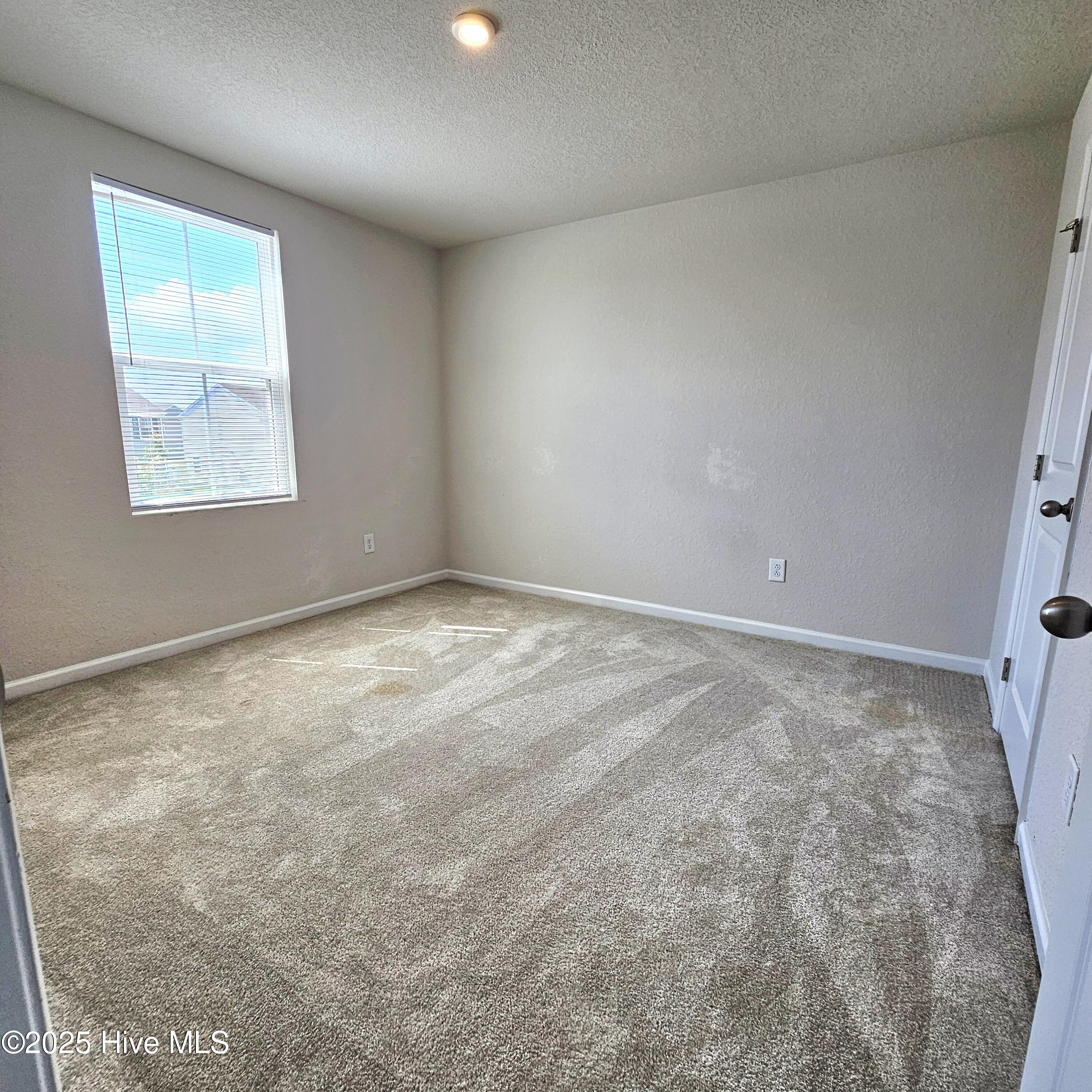 1300 Elder Street Property Photo 15