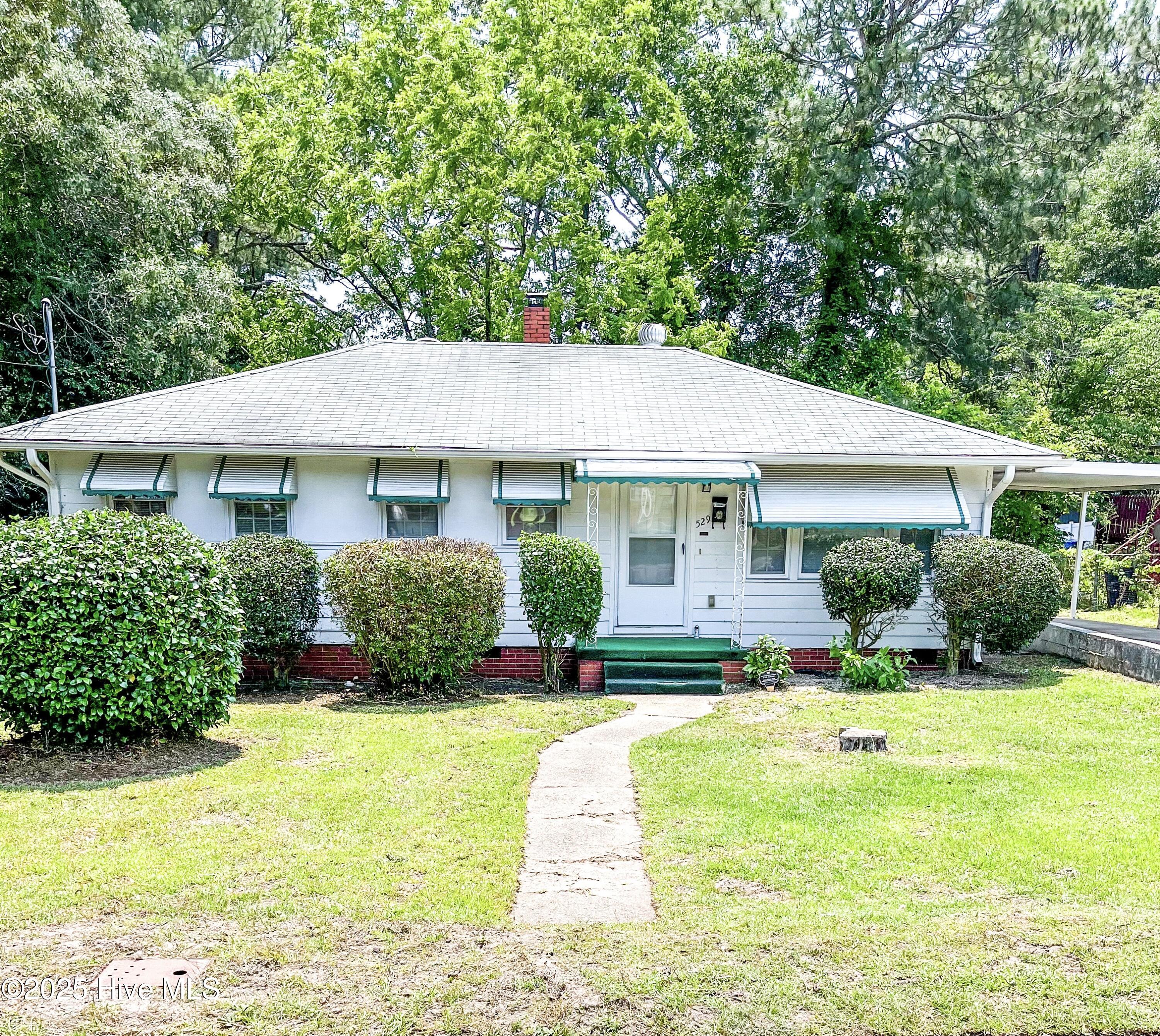529 Spaulding Street Property Photo 1