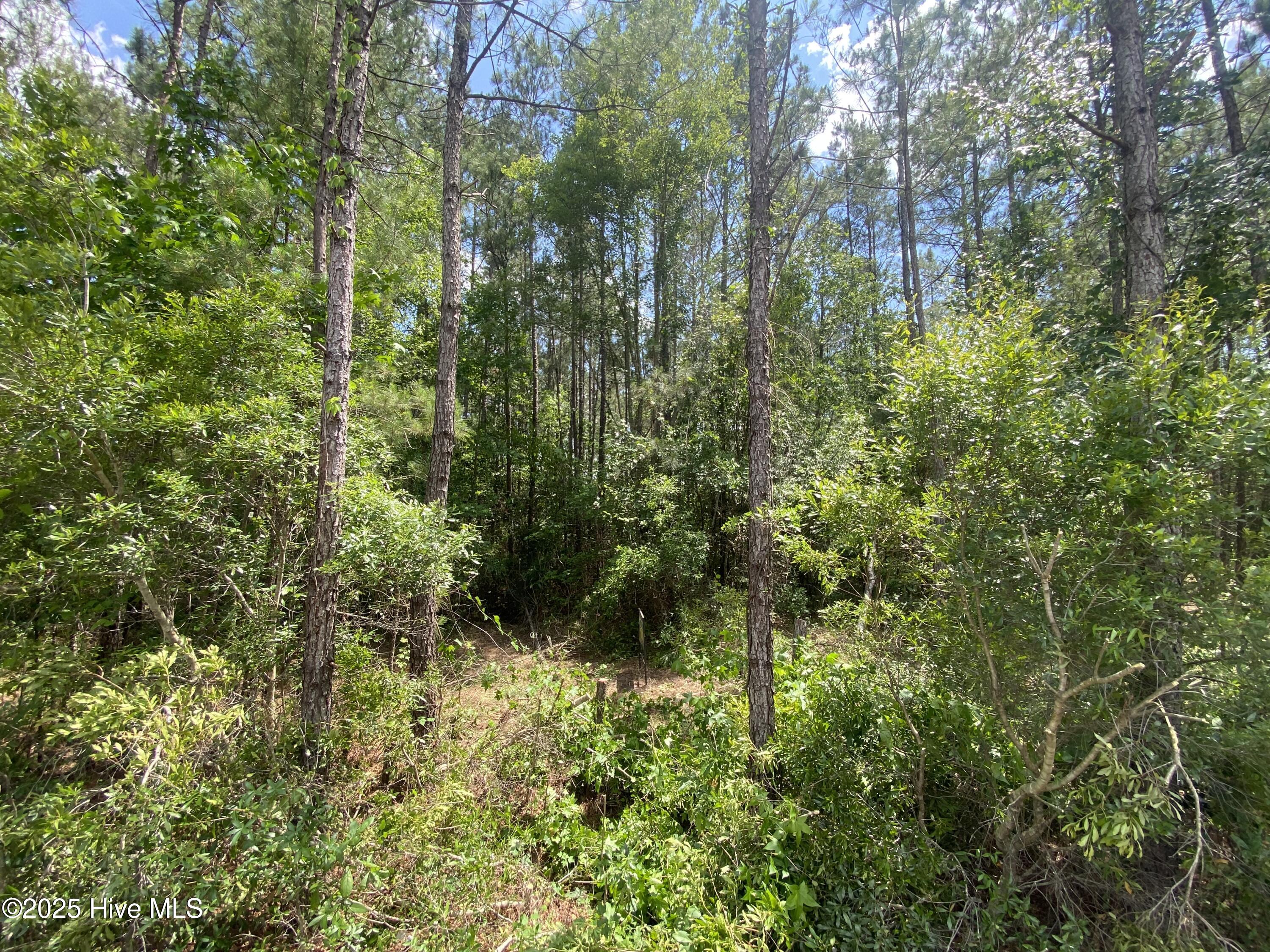 8891 Millers Path Property Photo 1