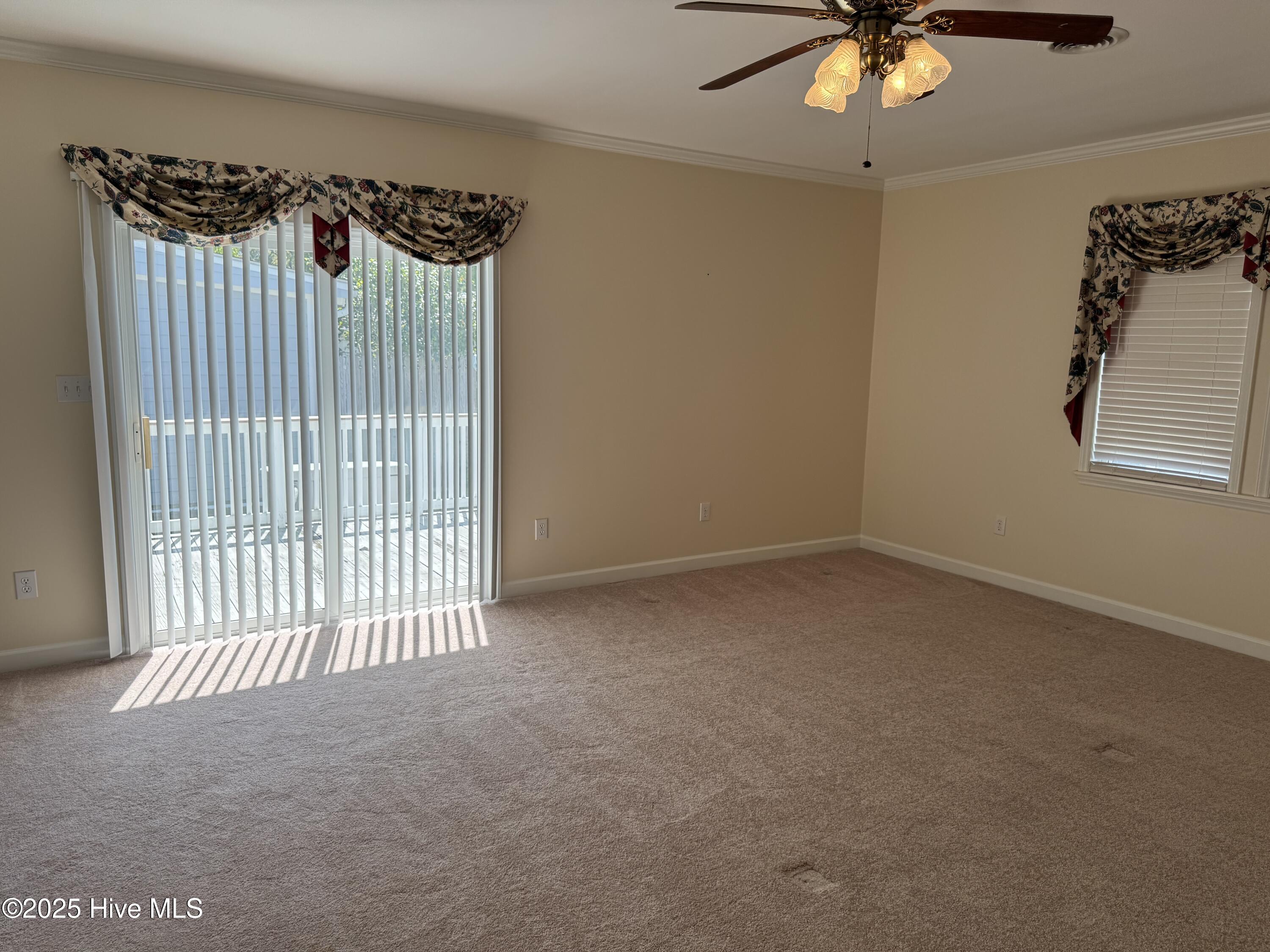 202 Savannah Avenue Property Photo 11