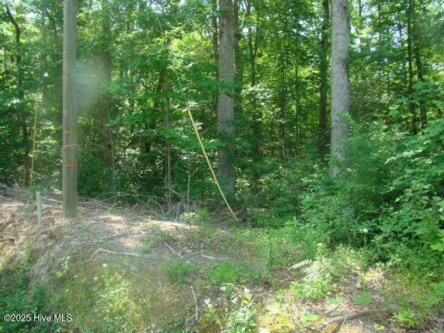 1 Birch Drive Property Photo 1