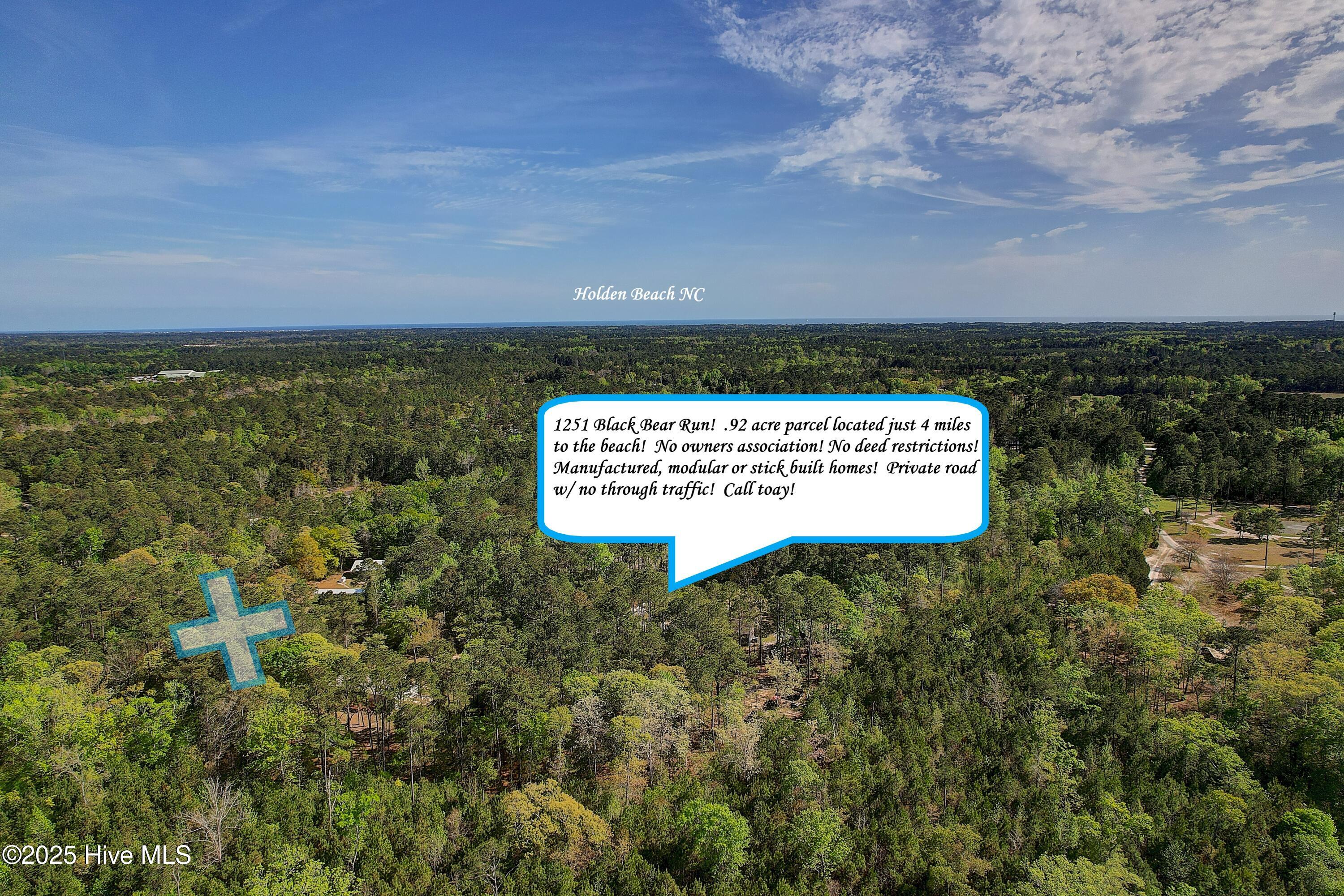 1251 Black Bear Run Property Photo 1