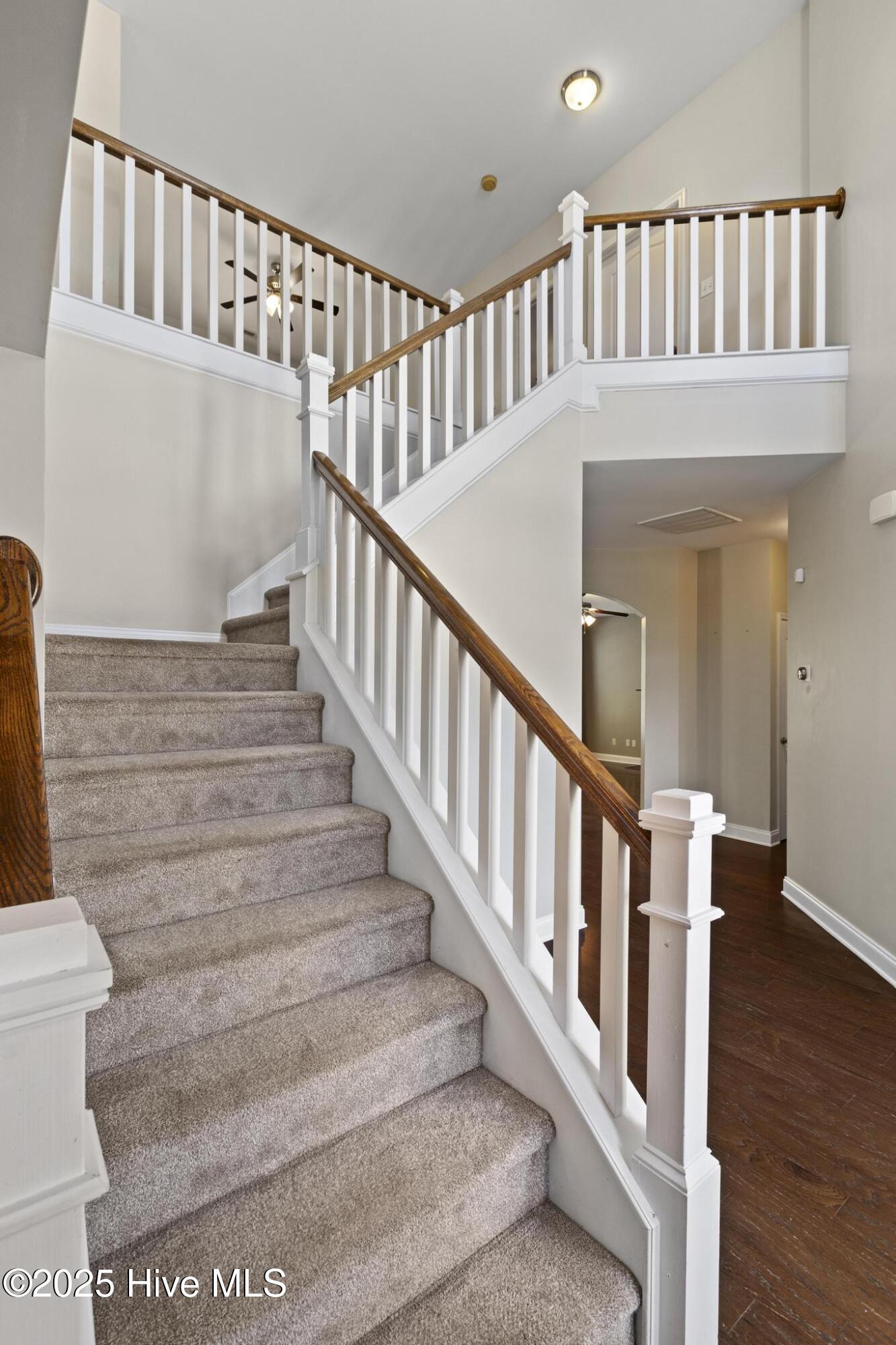 113 Percy Padgett Court Property Photo 27