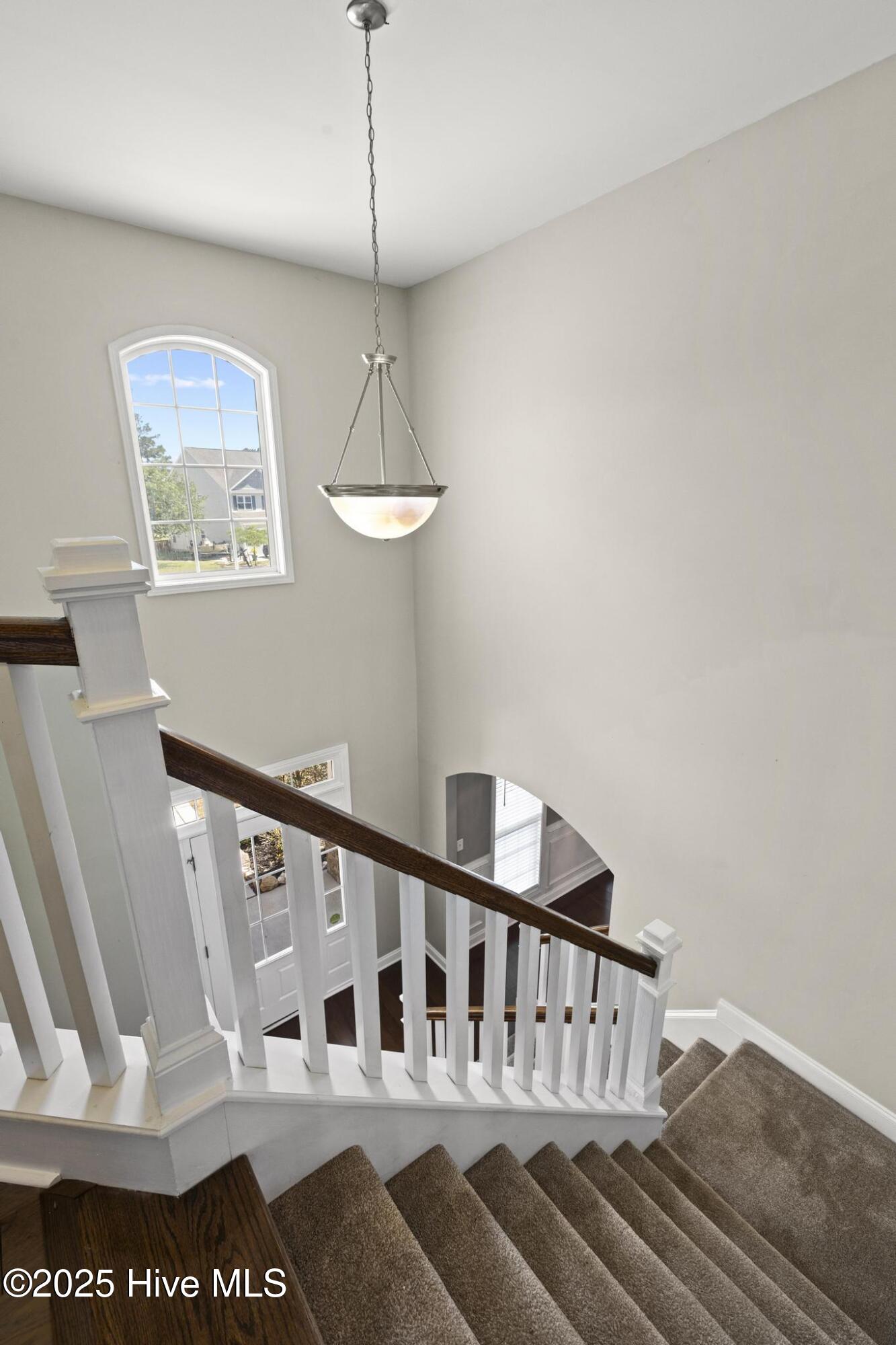 113 Percy Padgett Court Property Photo 28