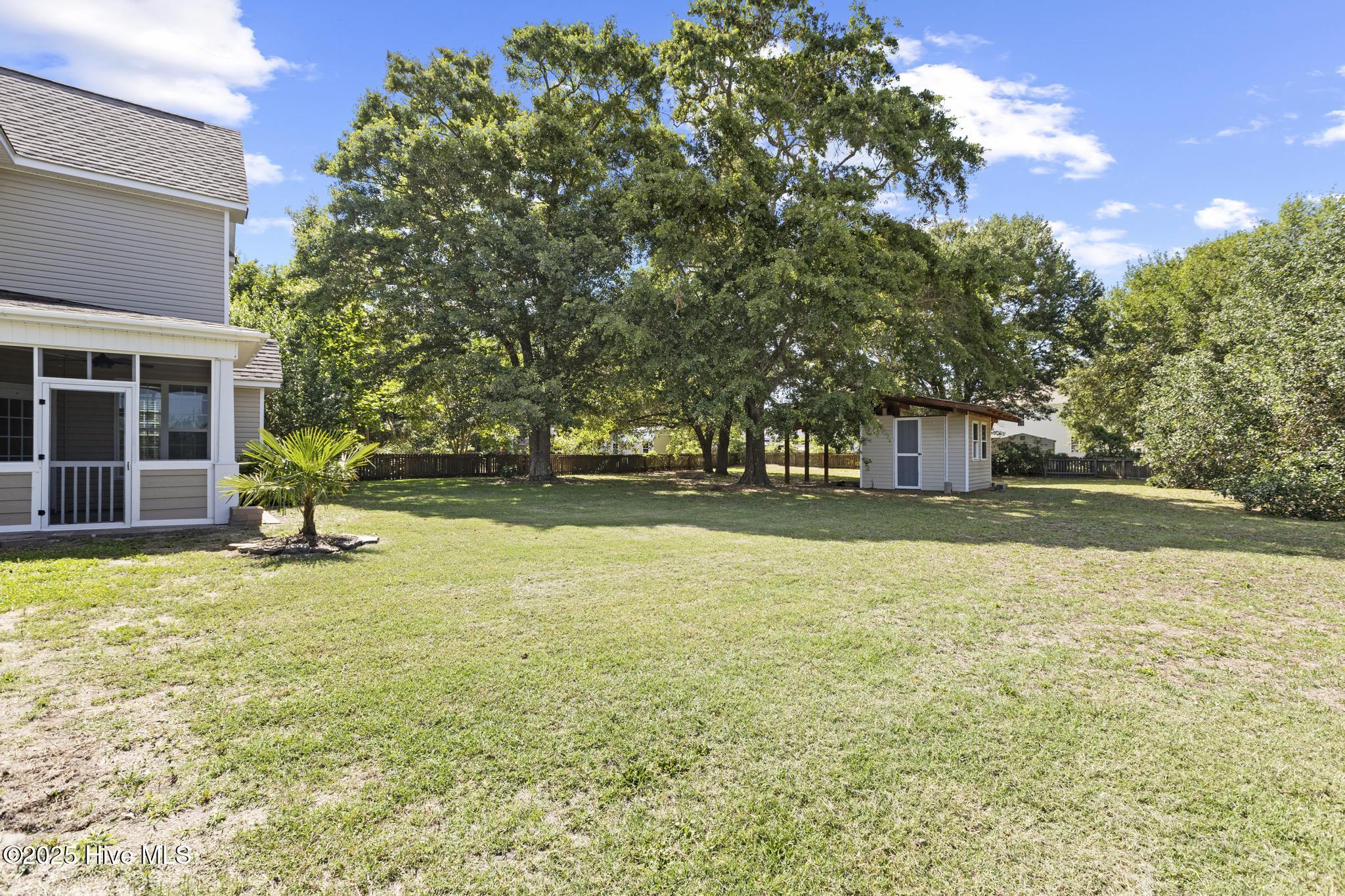 113 Percy Padgett Court Property Photo 38