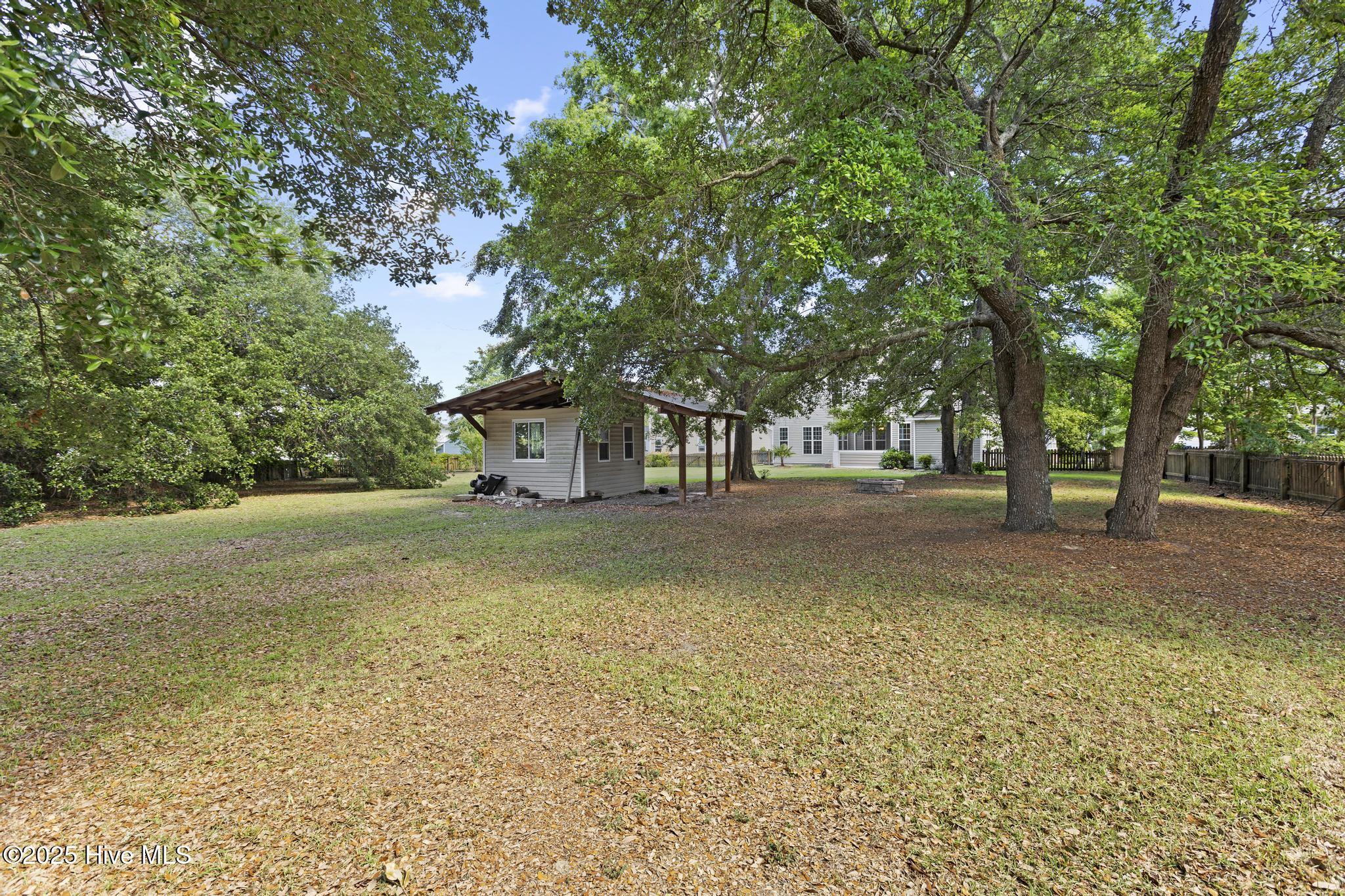 113 Percy Padgett Court Property Photo 41