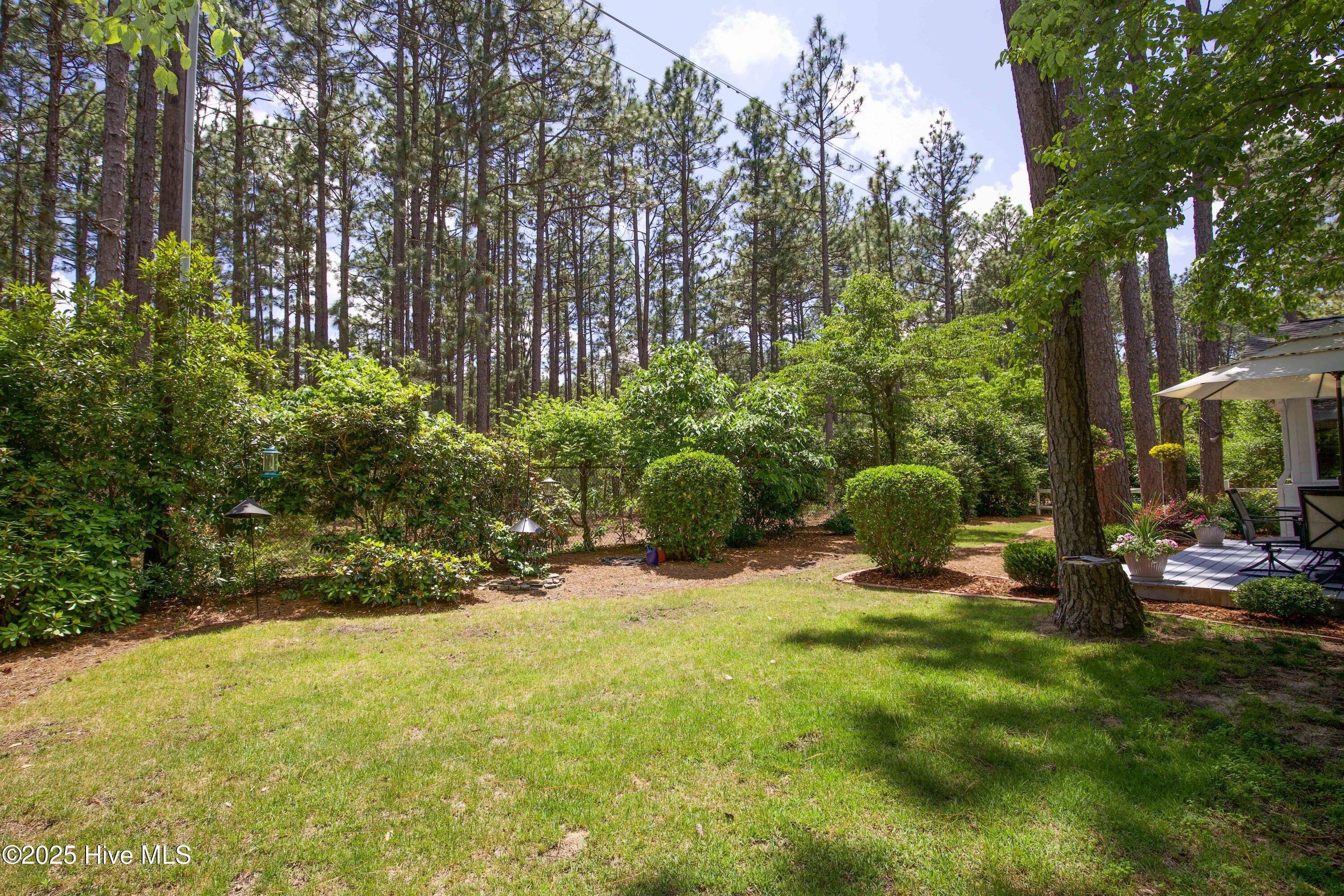 7 Saddle Place Property Photo 8